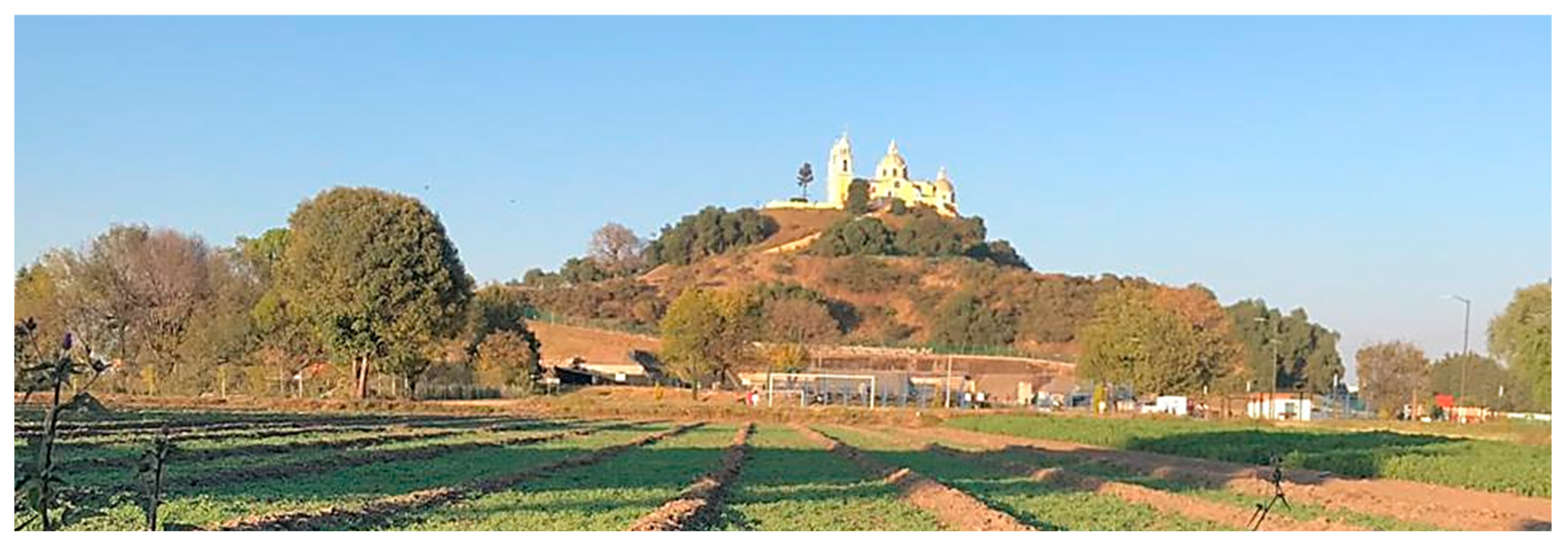 Land 12 00009 g003 Land 12 00009 g003