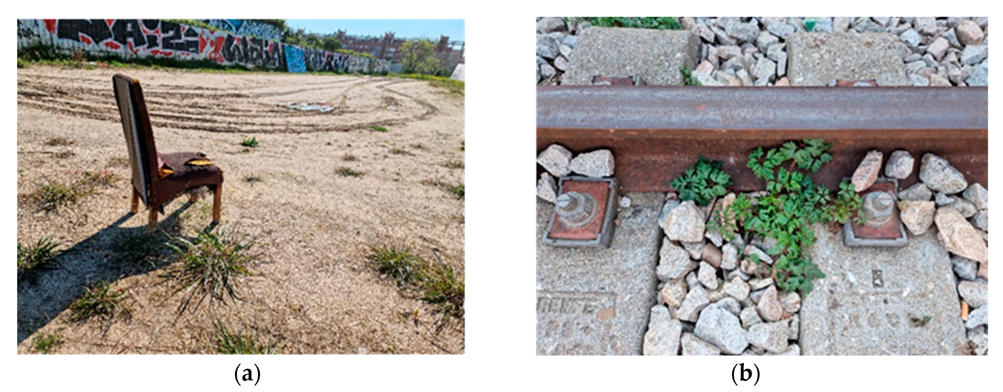 Land 12 00031 g001 550