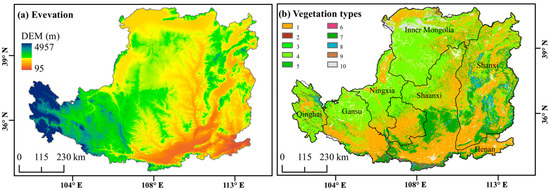 Spatial and Temporal Patterns of Carbon and Water Use