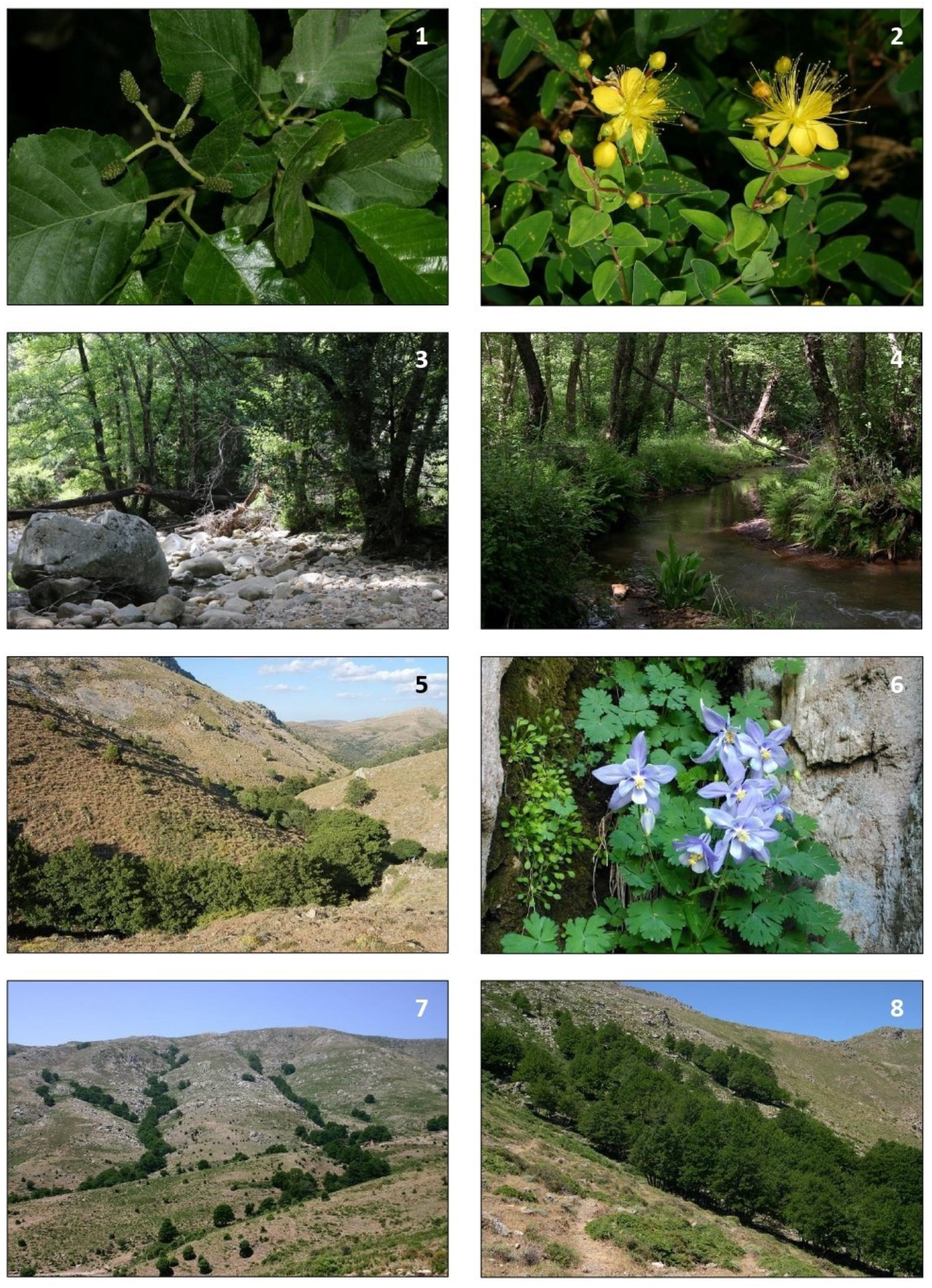 Land 12 00088 g005 Land 12 00088 g005