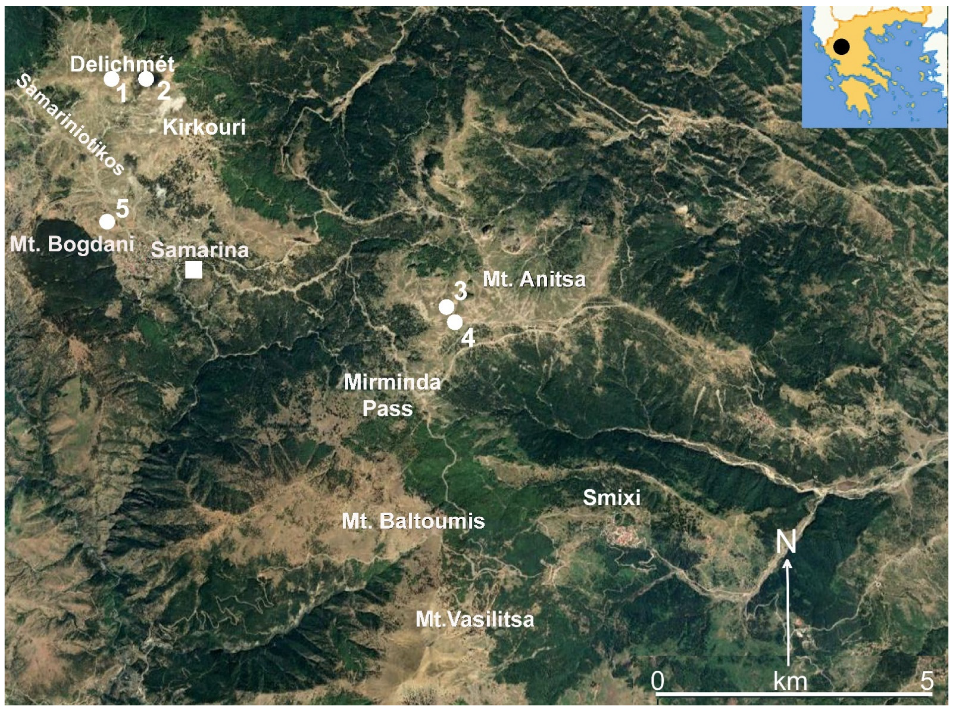 protest Scorch artillerie Land | Free Full-Text | Mountain Landscape and Human Settlement in the  Pindus Range: The Samarina Highland Zones of Western Macedonia, Greece