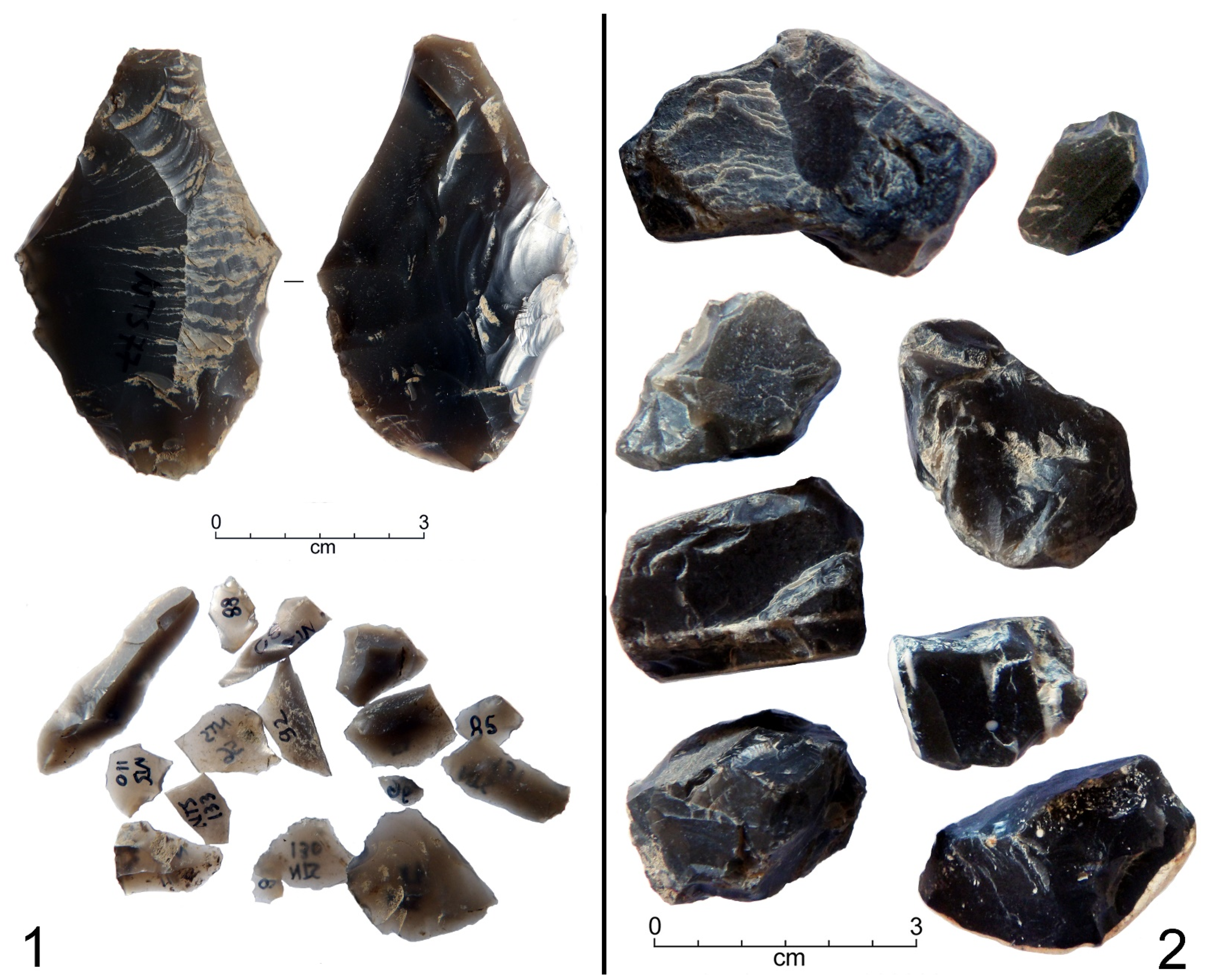 Land 12 00096 g005 Land 12 00096 g005