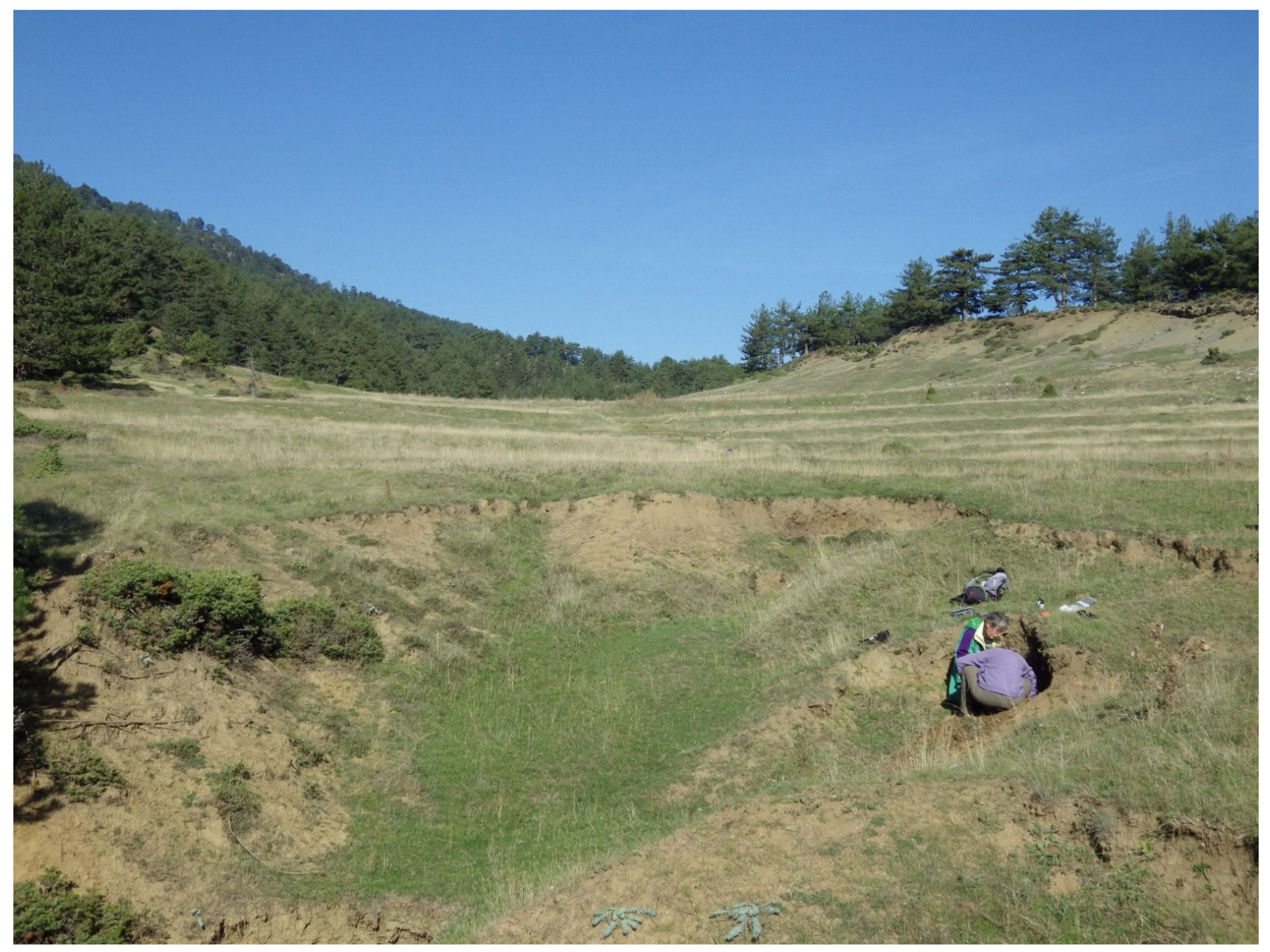 Land 12 00096 g011 Land 12 00096 g011