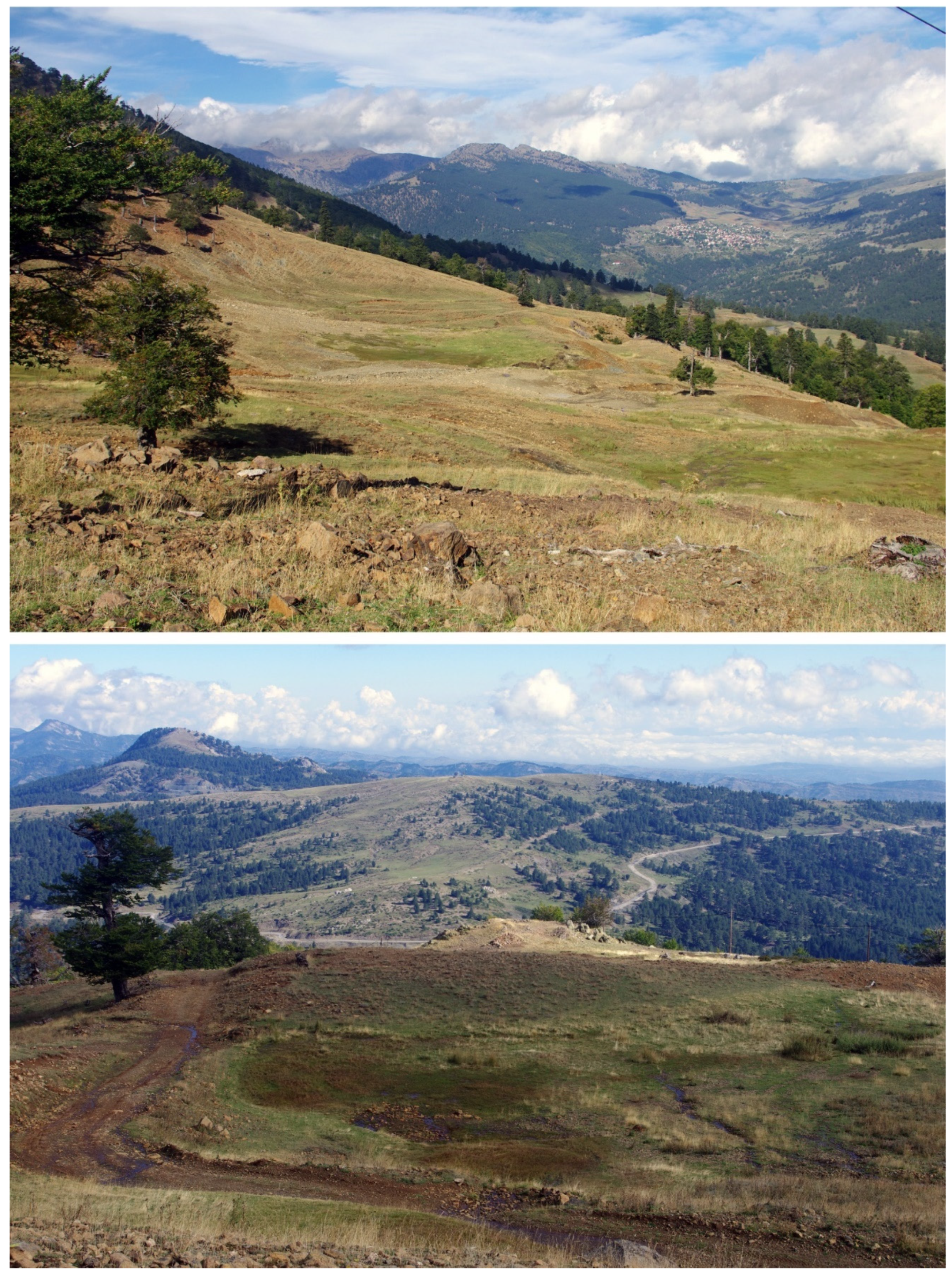 Land 12 00096 g015 Land 12 00096 g015