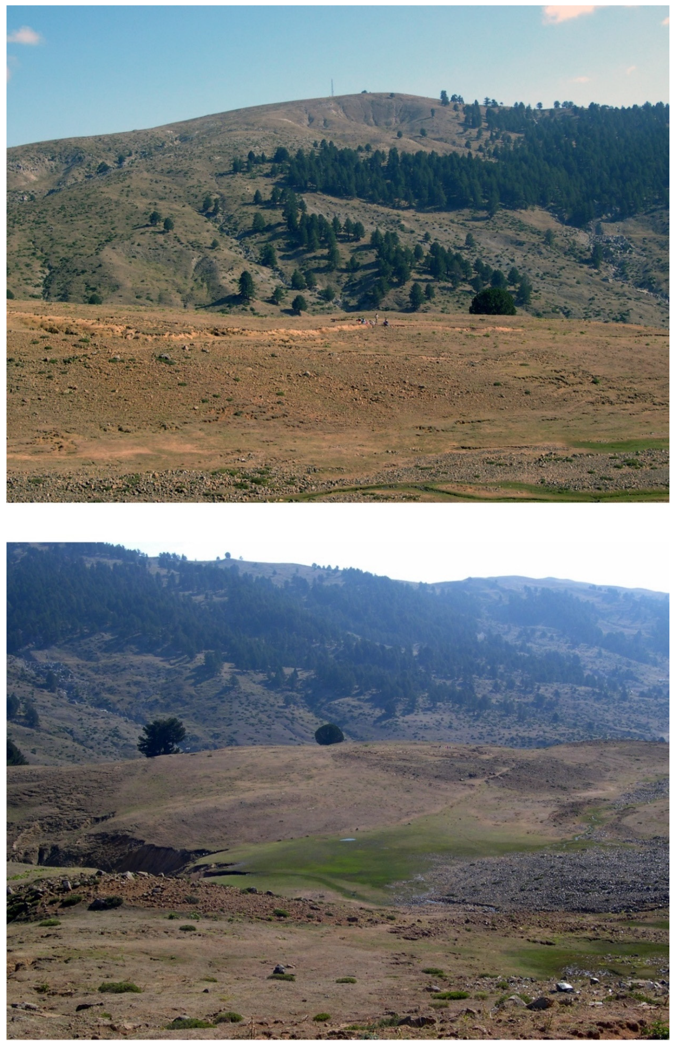 Land 12 00096 g023 Land 12 00096 g023