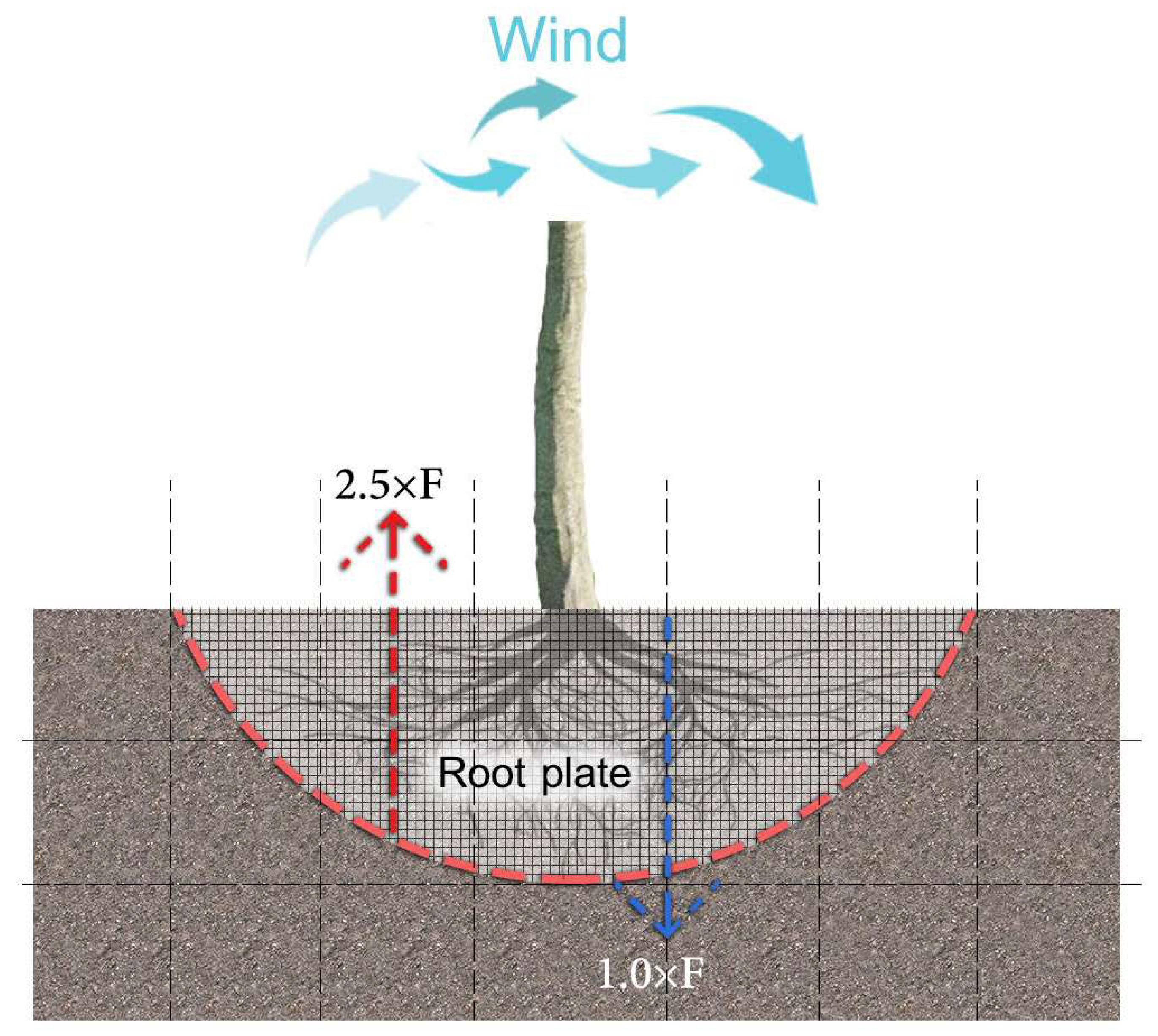 Land 12 00097 g002 Land 12 00097 g002