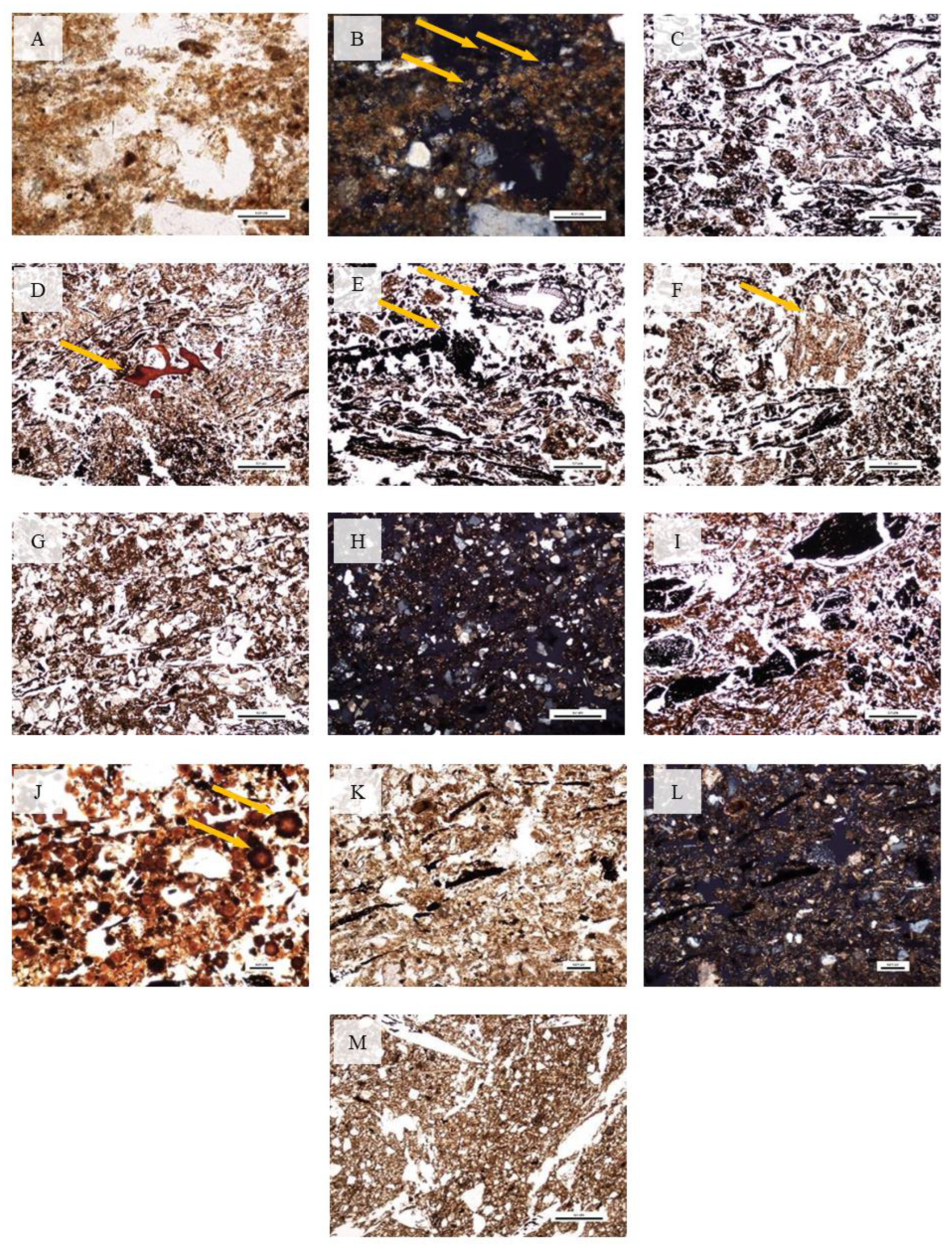 Land 12 00159 g006 Land 12 00159 g006