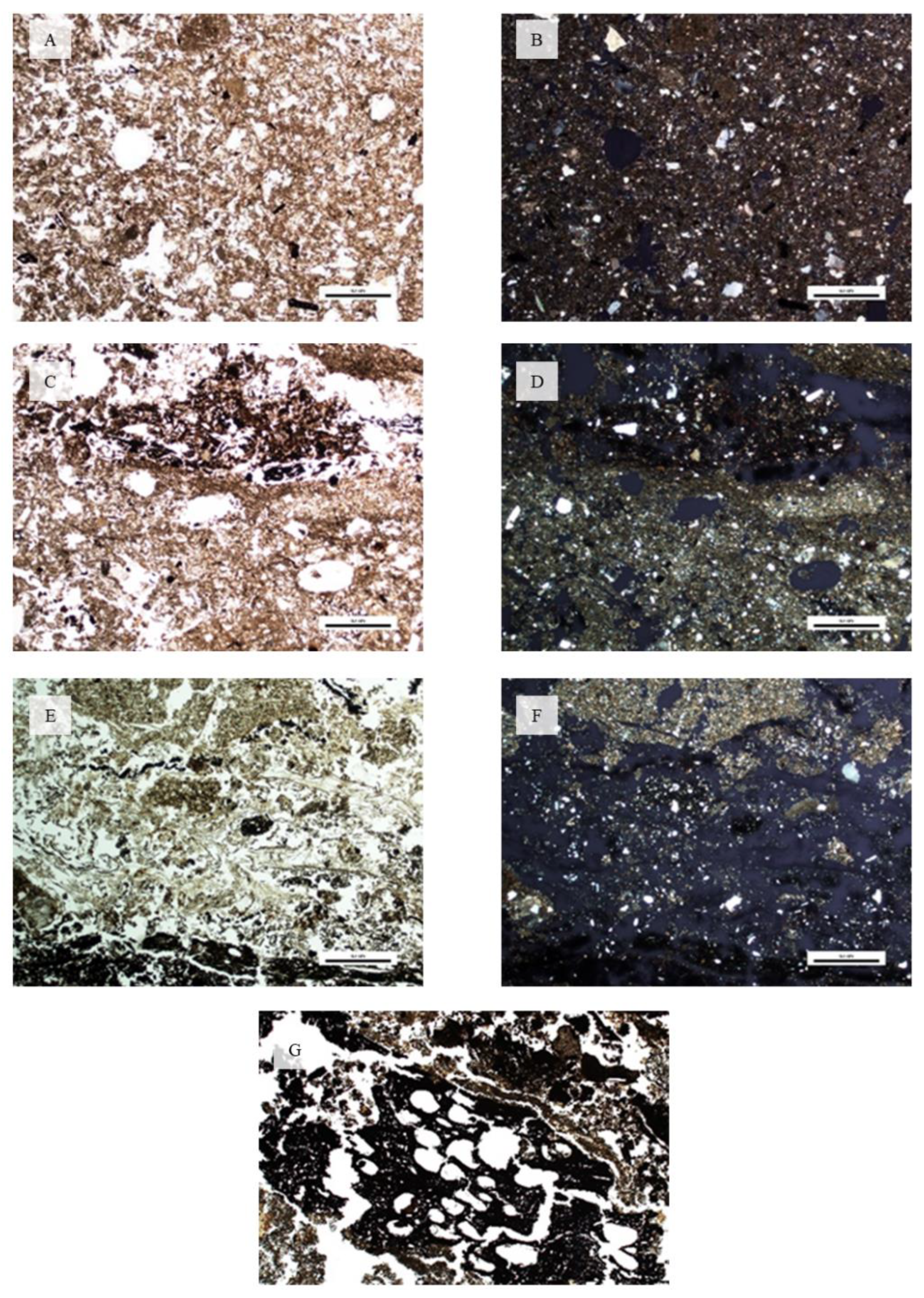 Land 12 00159 g008 Land 12 00159 g008