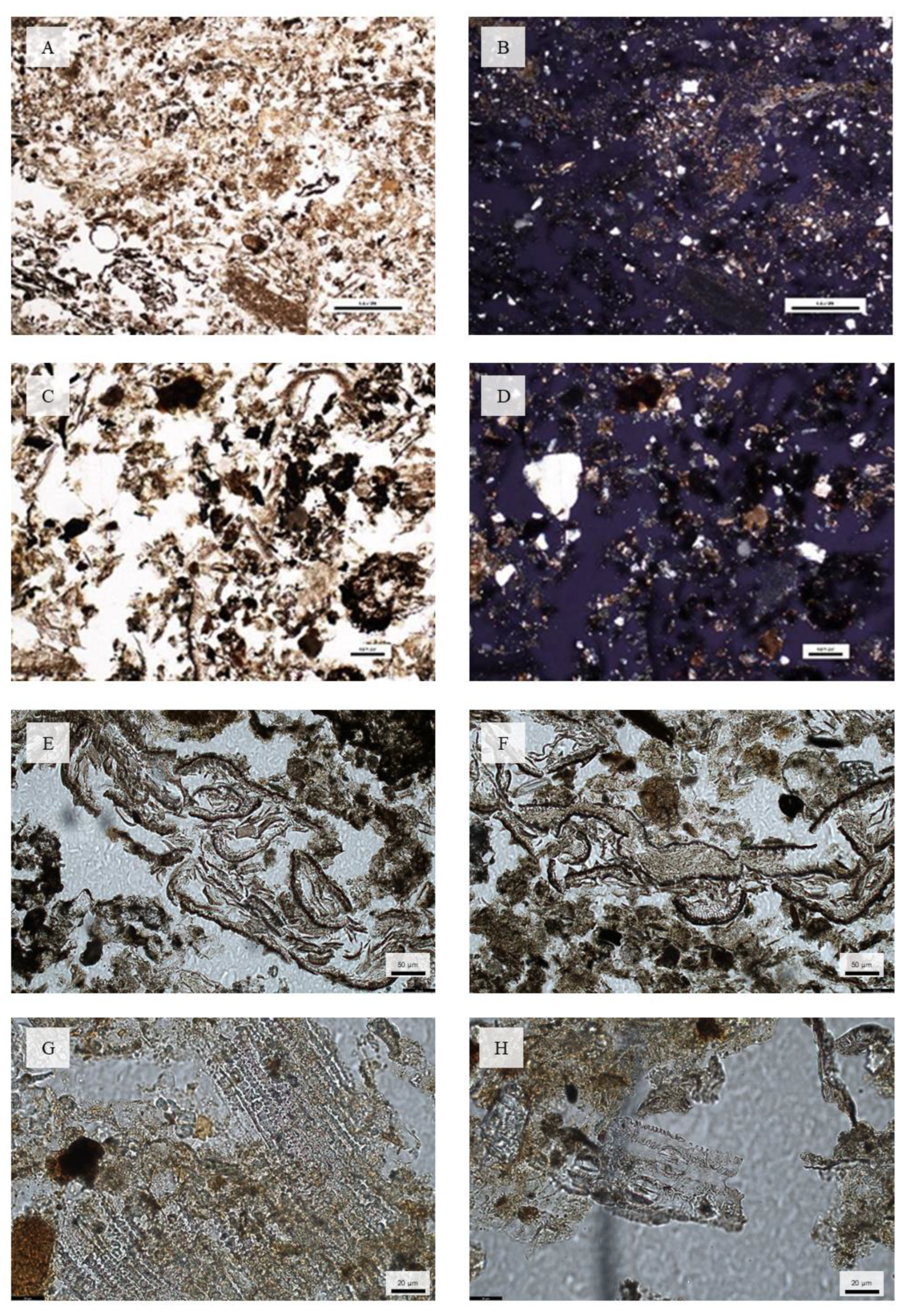 Land 12 00159 g009 Land 12 00159 g009