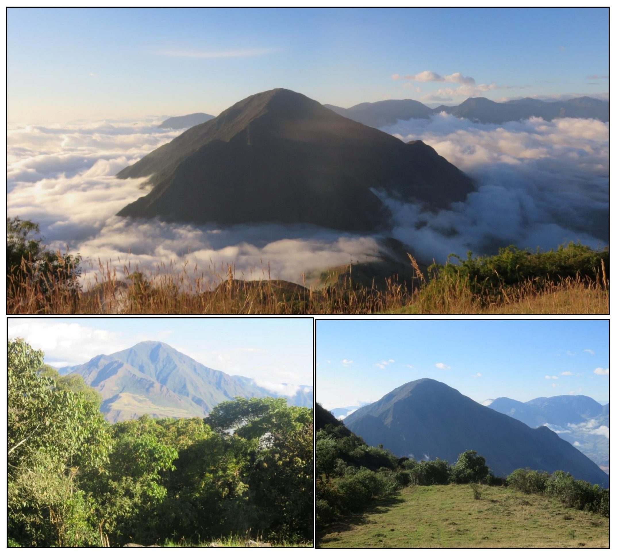 Land 12 00192 g001 Land 12 00192 g001