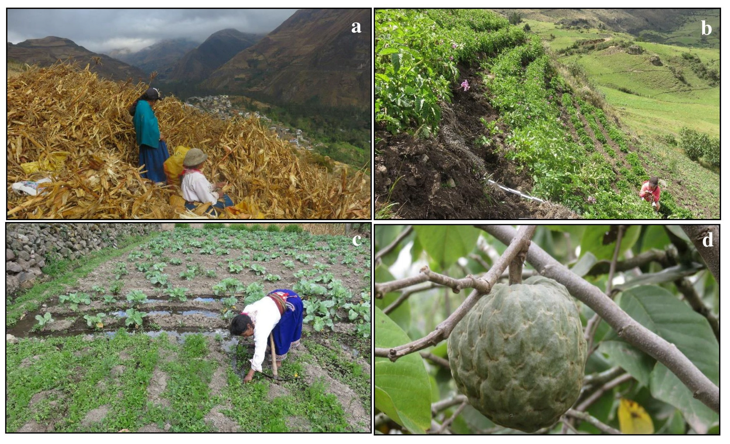 Land 12 00192 g006 Land 12 00192 g006