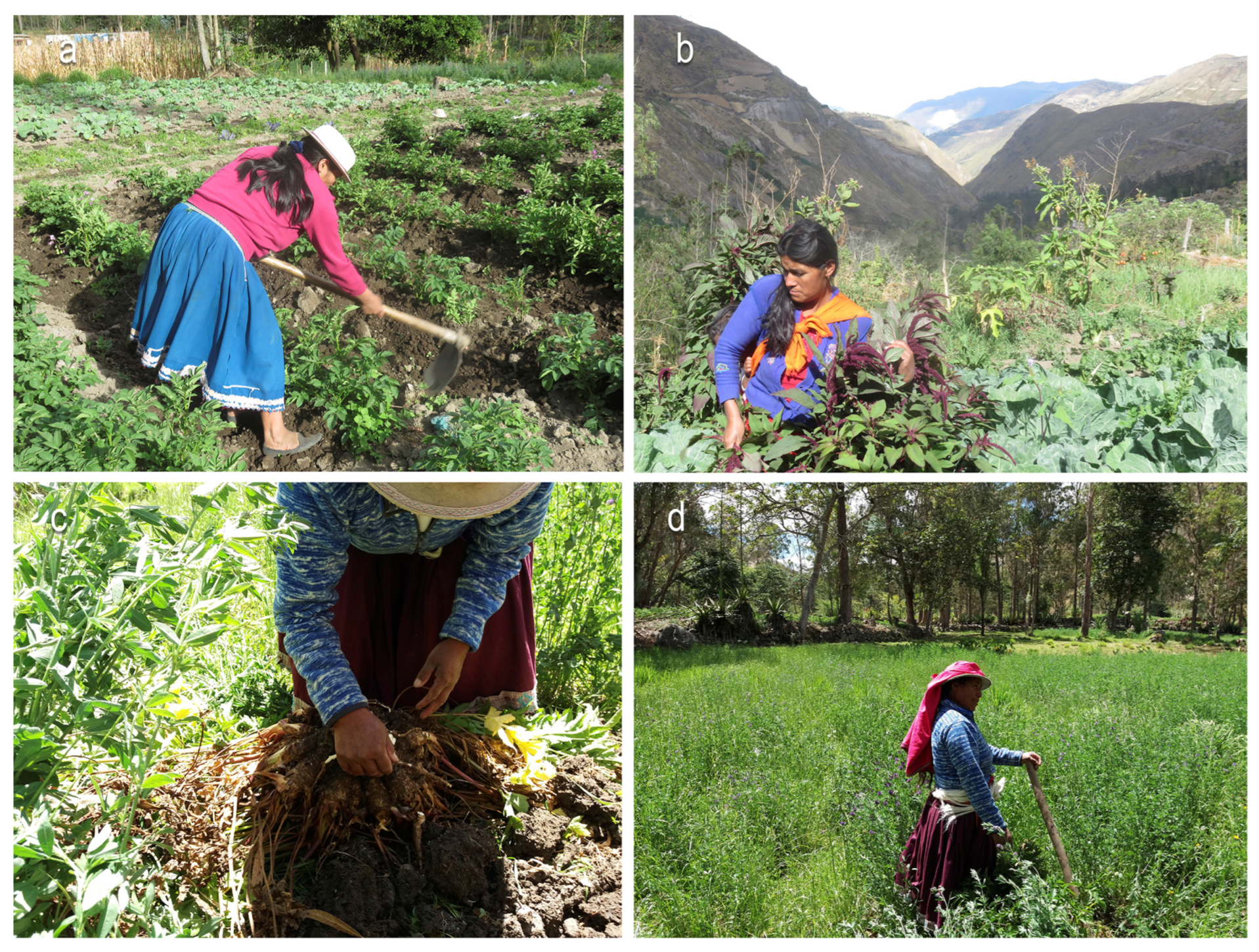 Land 12 00192 g007 Land 12 00192 g007