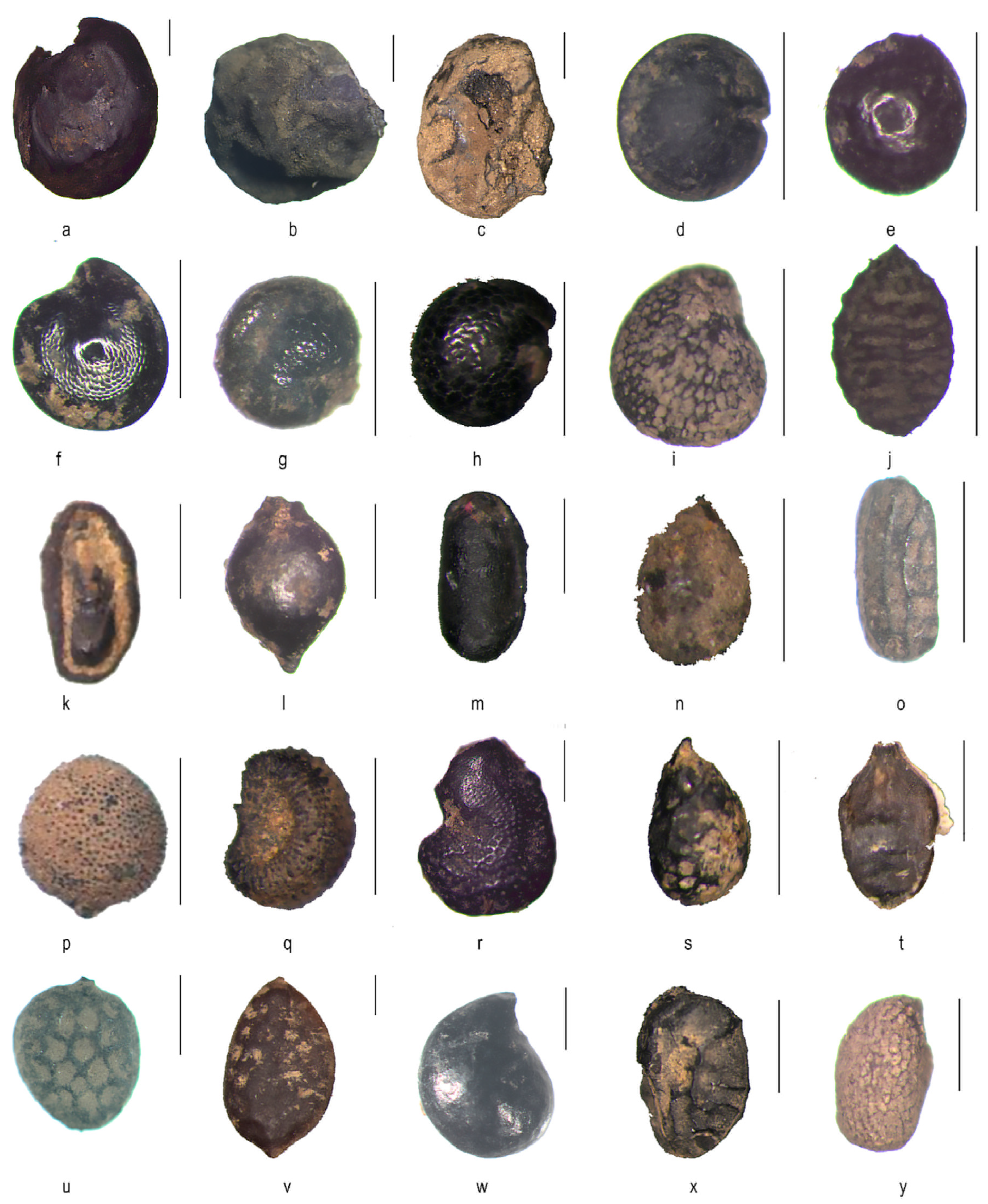 Land 12 00192 g009 Land 12 00192 g009