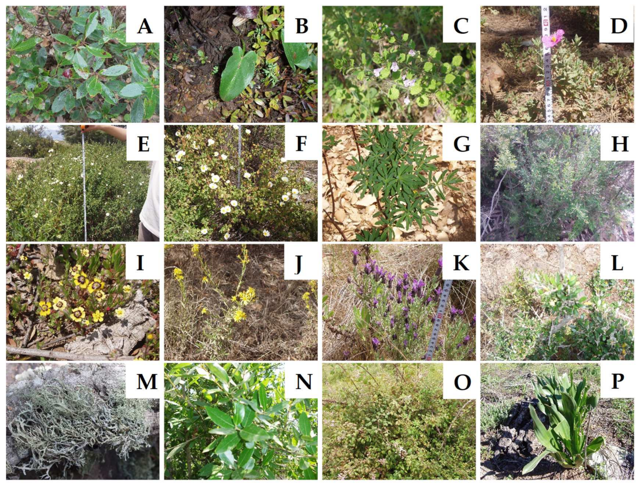 Land 12 00215 g008 Land 12 00215 g008