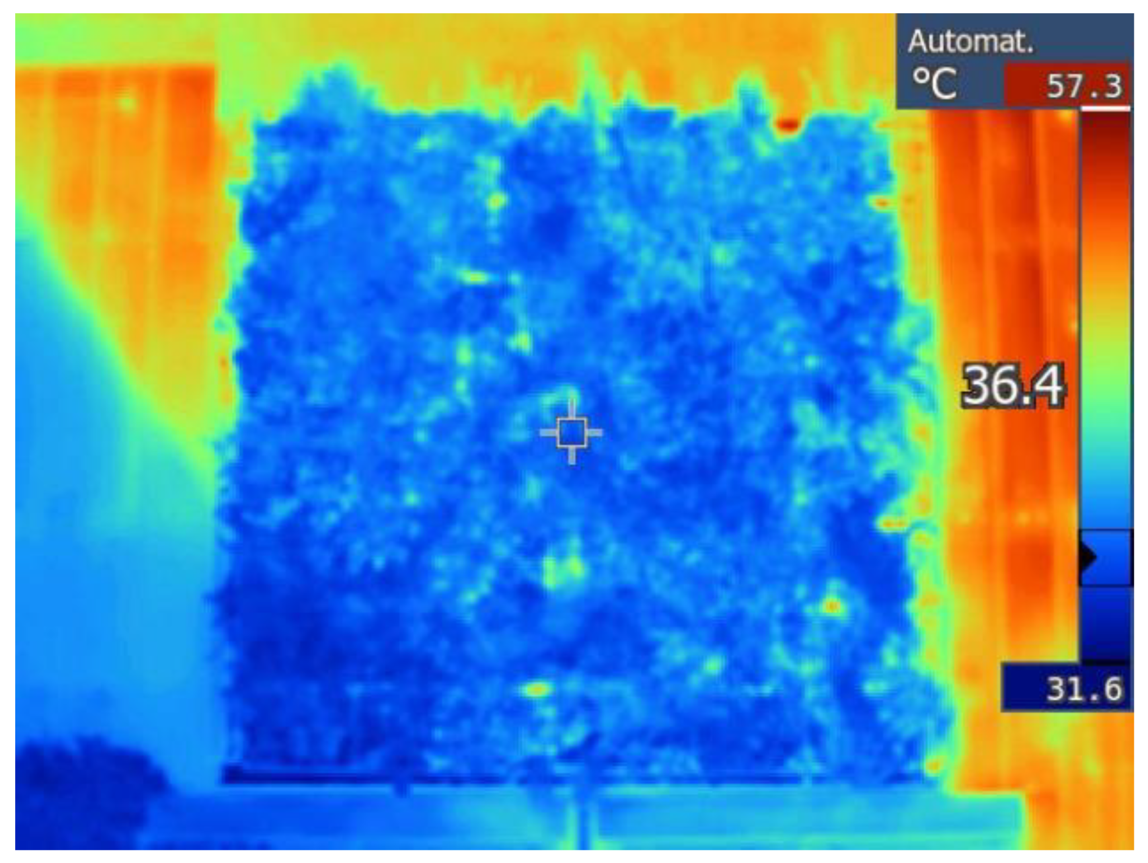 Land 12 00229 g004 Land 12 00229 g004