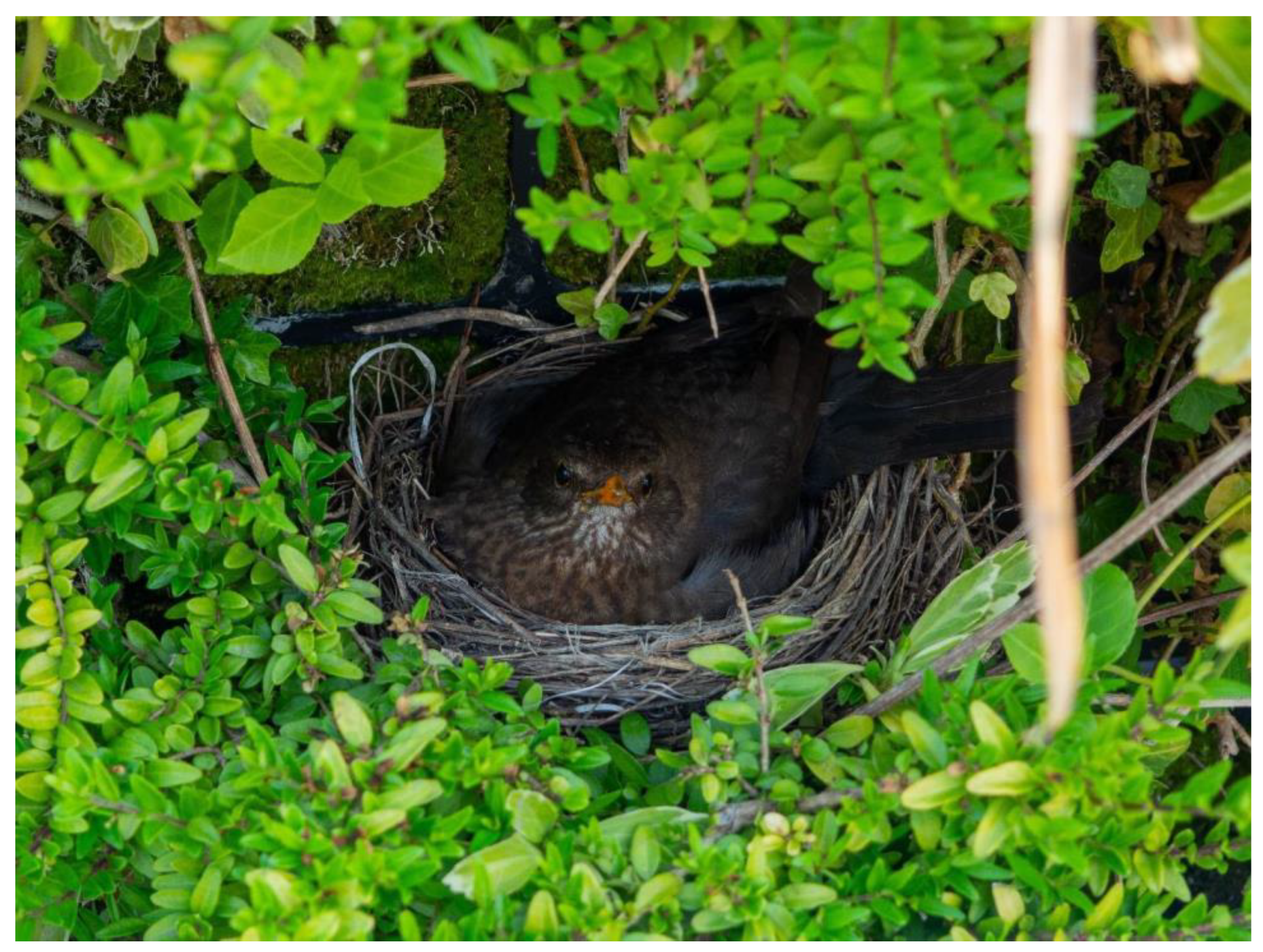 Land 12 00229 g005 Land 12 00229 g005