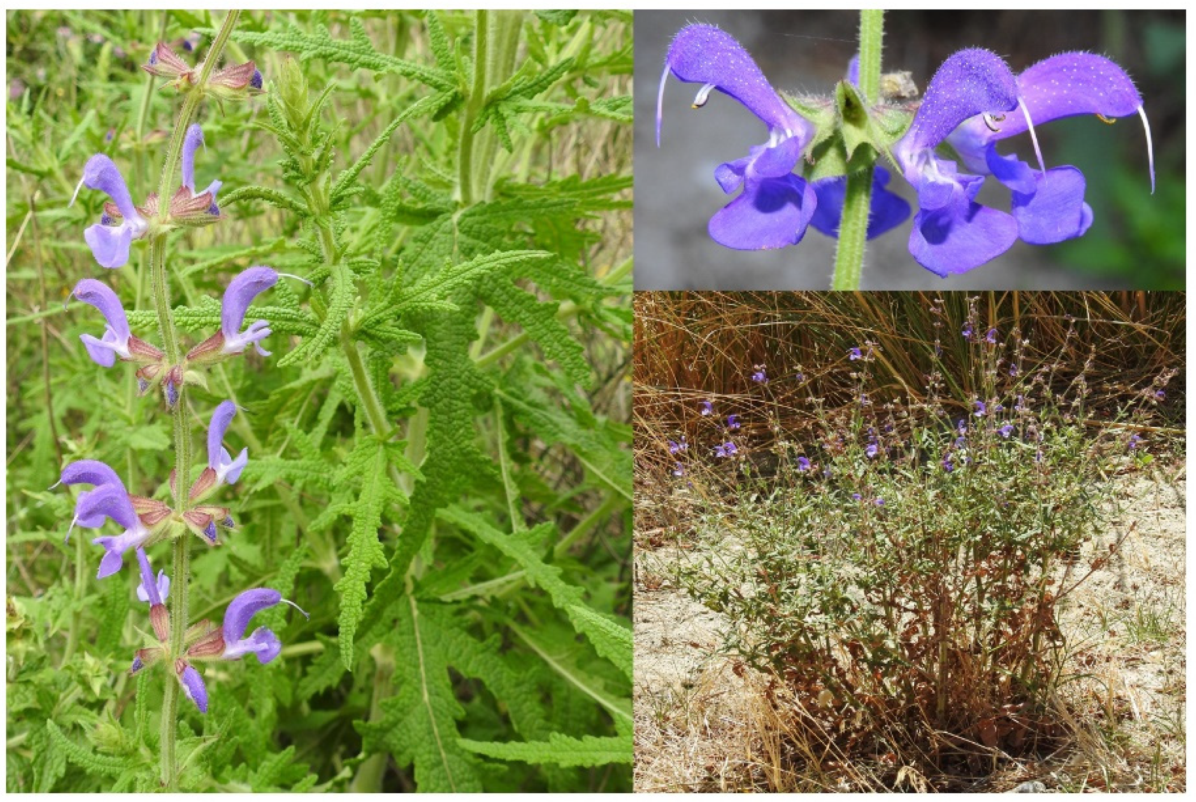 Land 12 00247 g001 Land 12 00247 g001