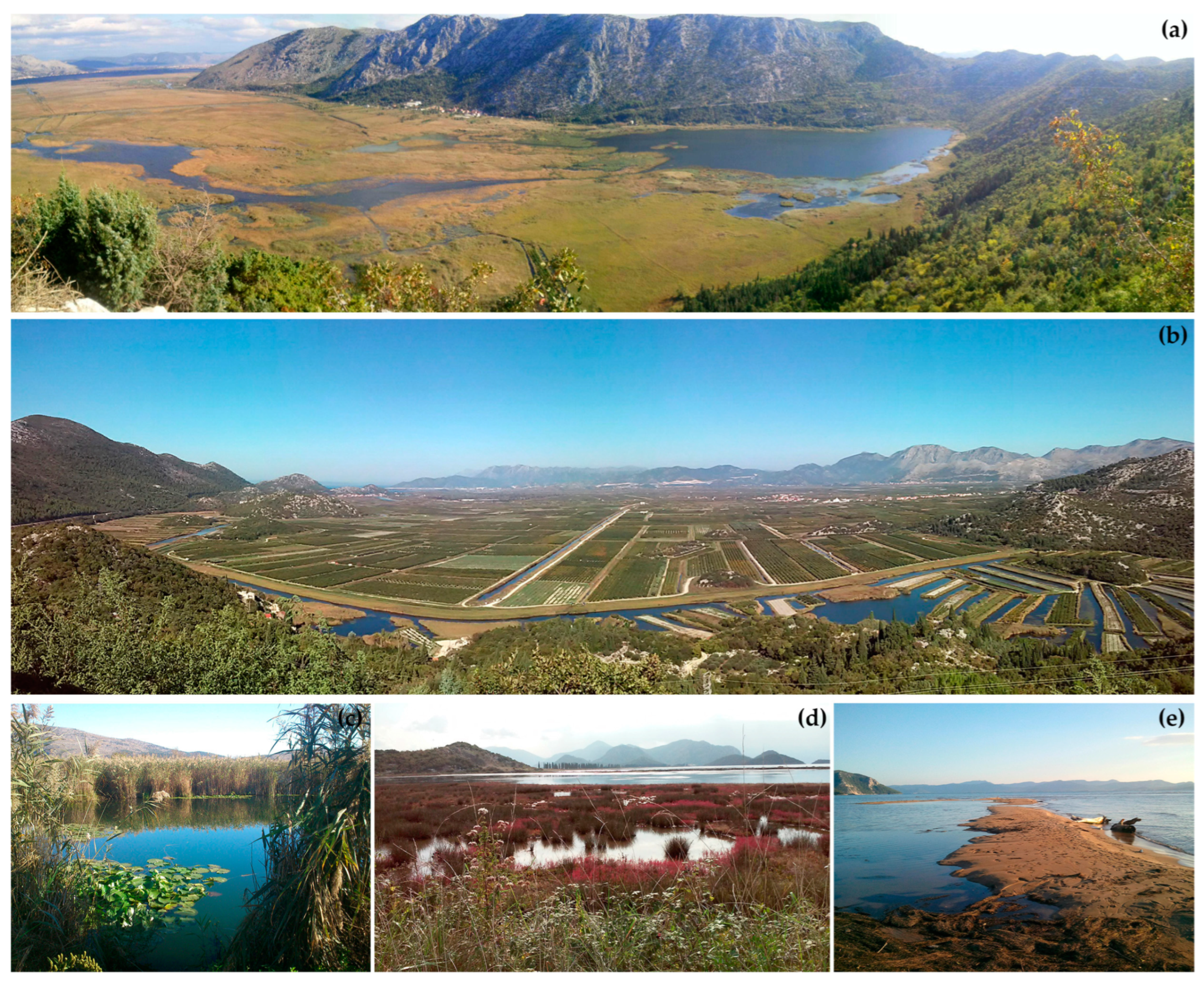 Land 12 00250 g002 Land 12 00250 g002