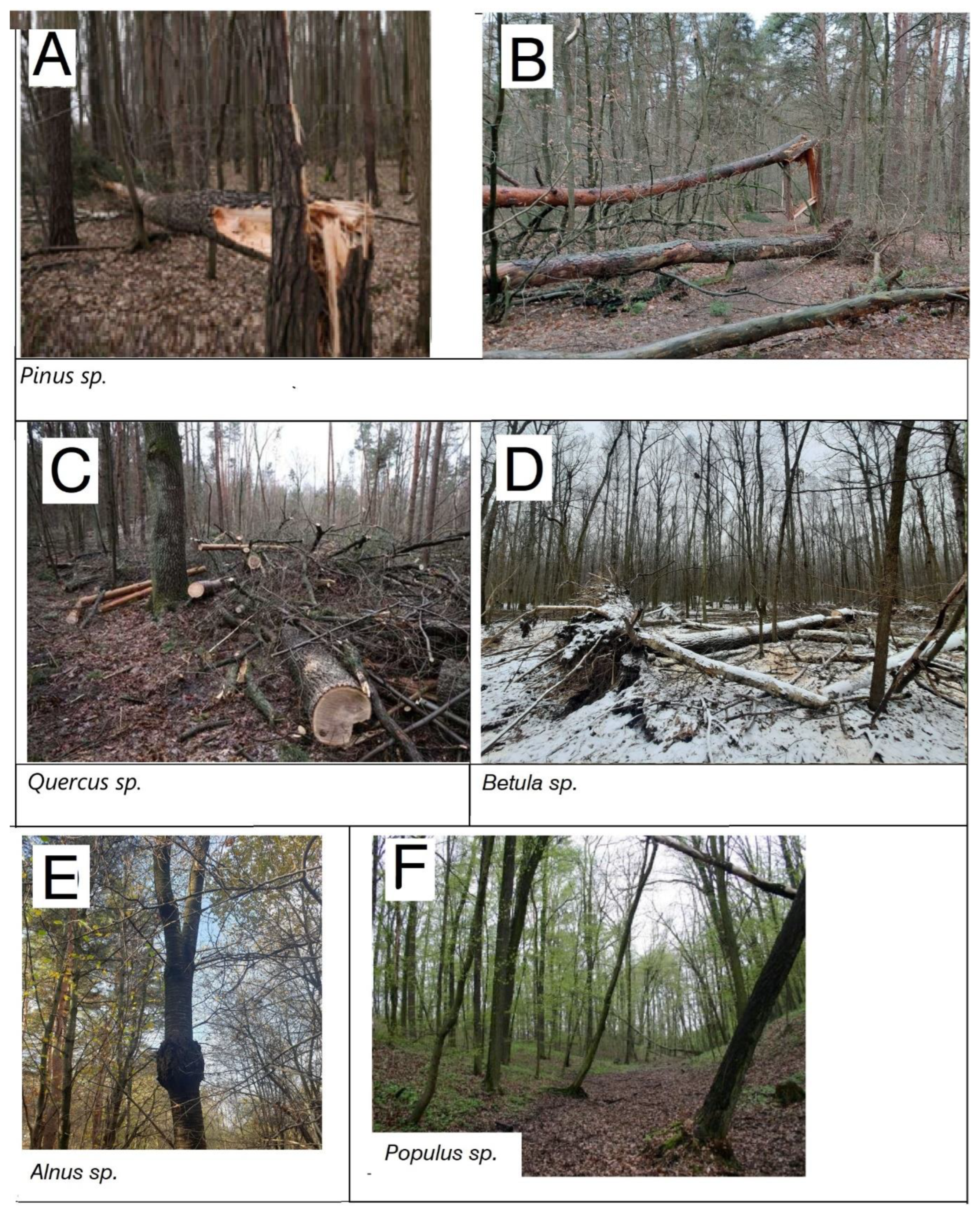 Land 12 00275 g005 Land 12 00275 g005