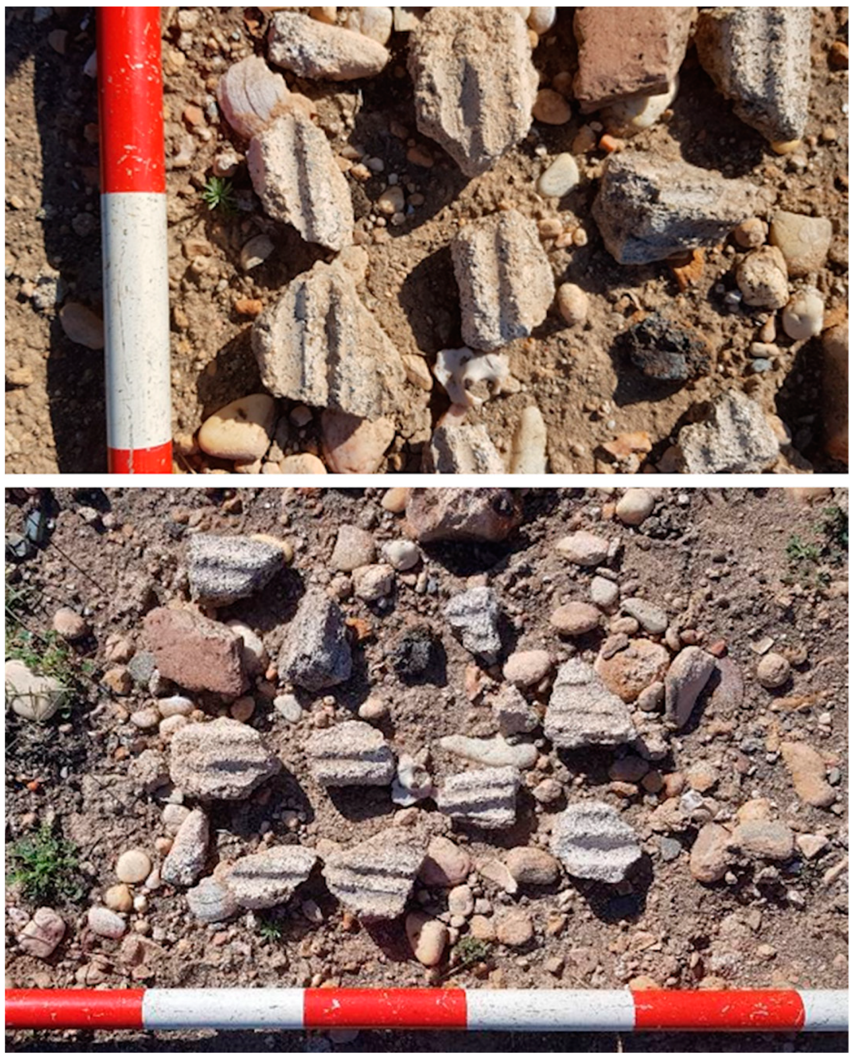 Land 12 00304 g006 550