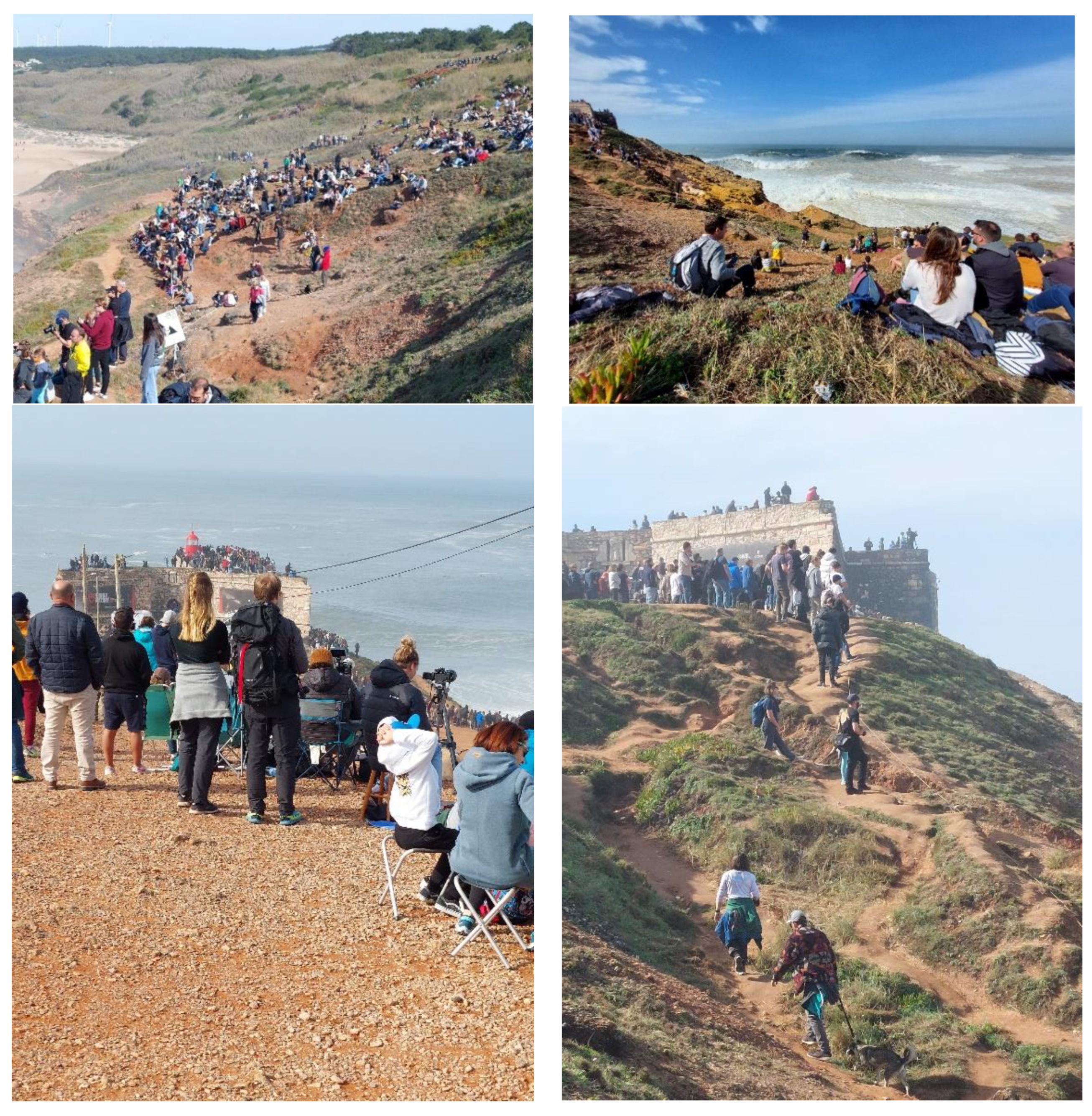 Land 12 00360 g003 Land 12 00360 g003