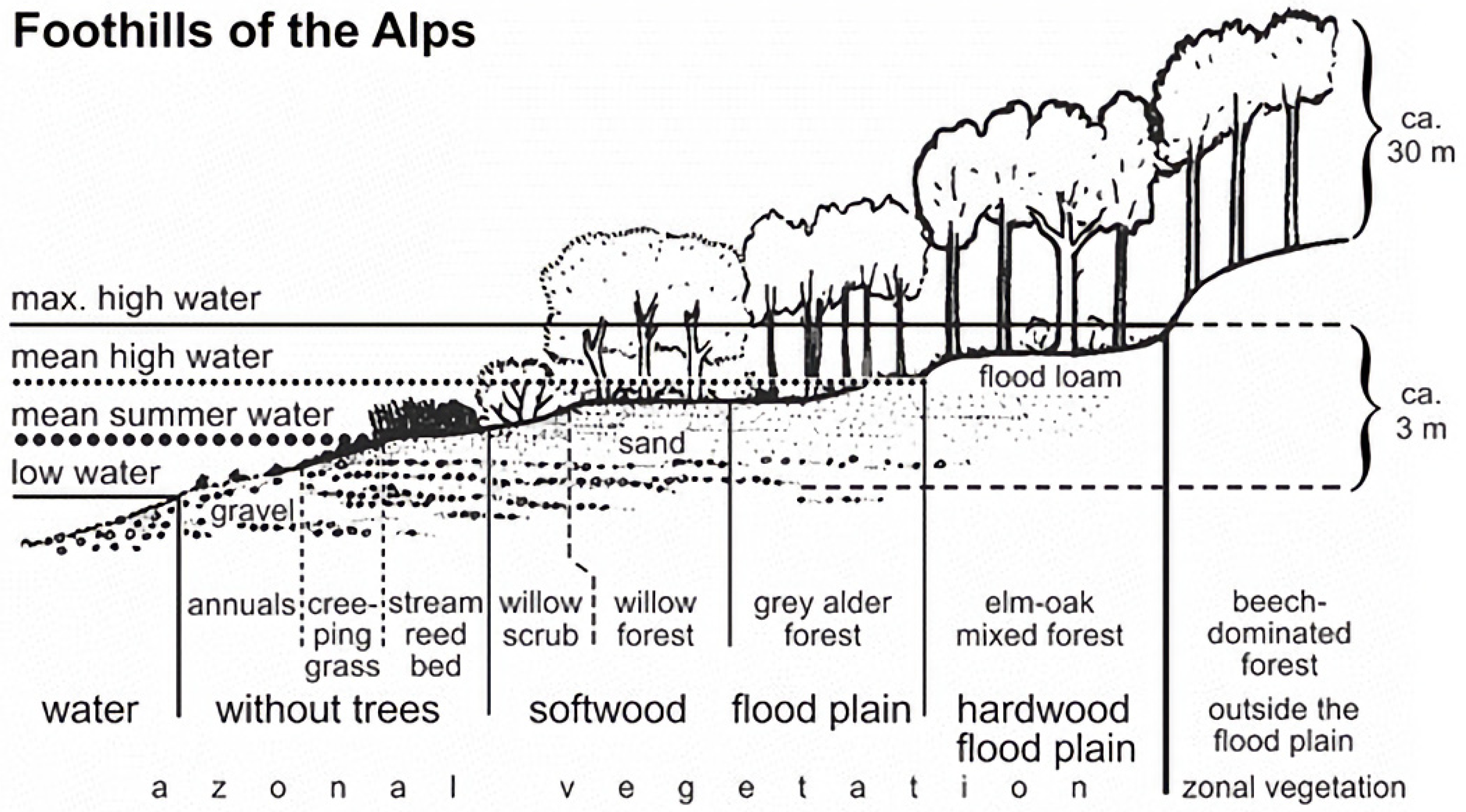 21. What do steeper slopes mean in species richness v/s area graph ?
