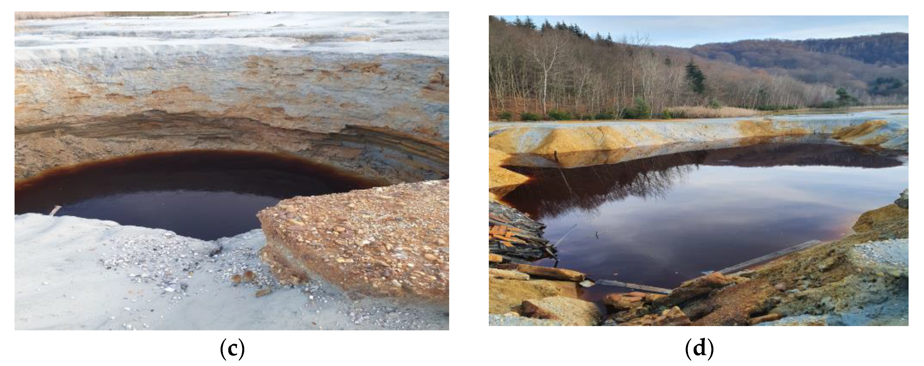 Land 12 00445 g003b 550