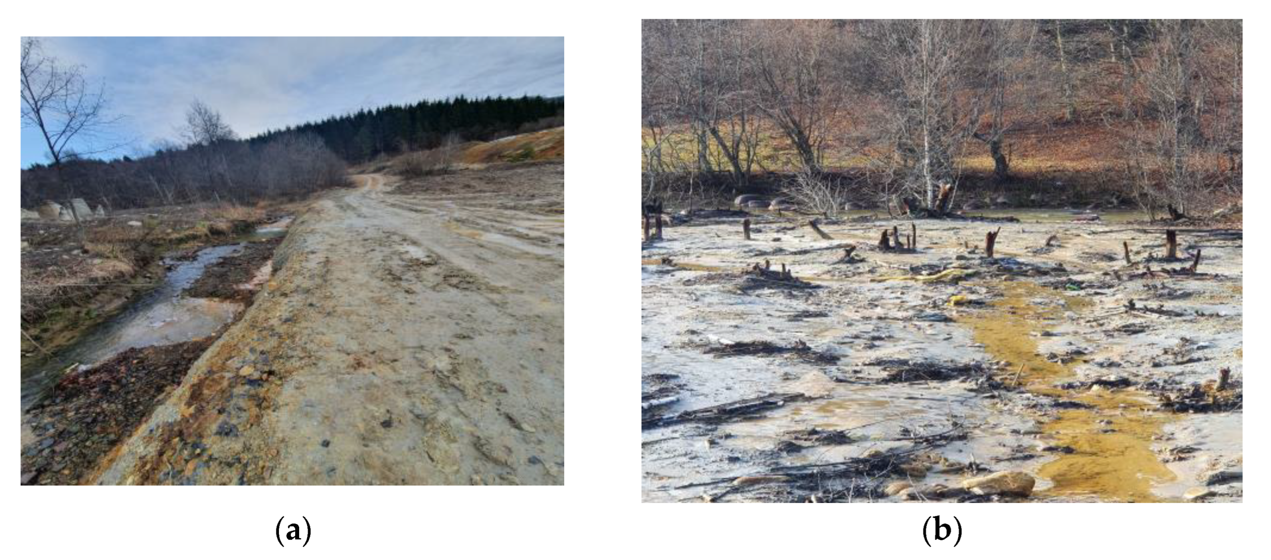 Land 12 00445 g004 550