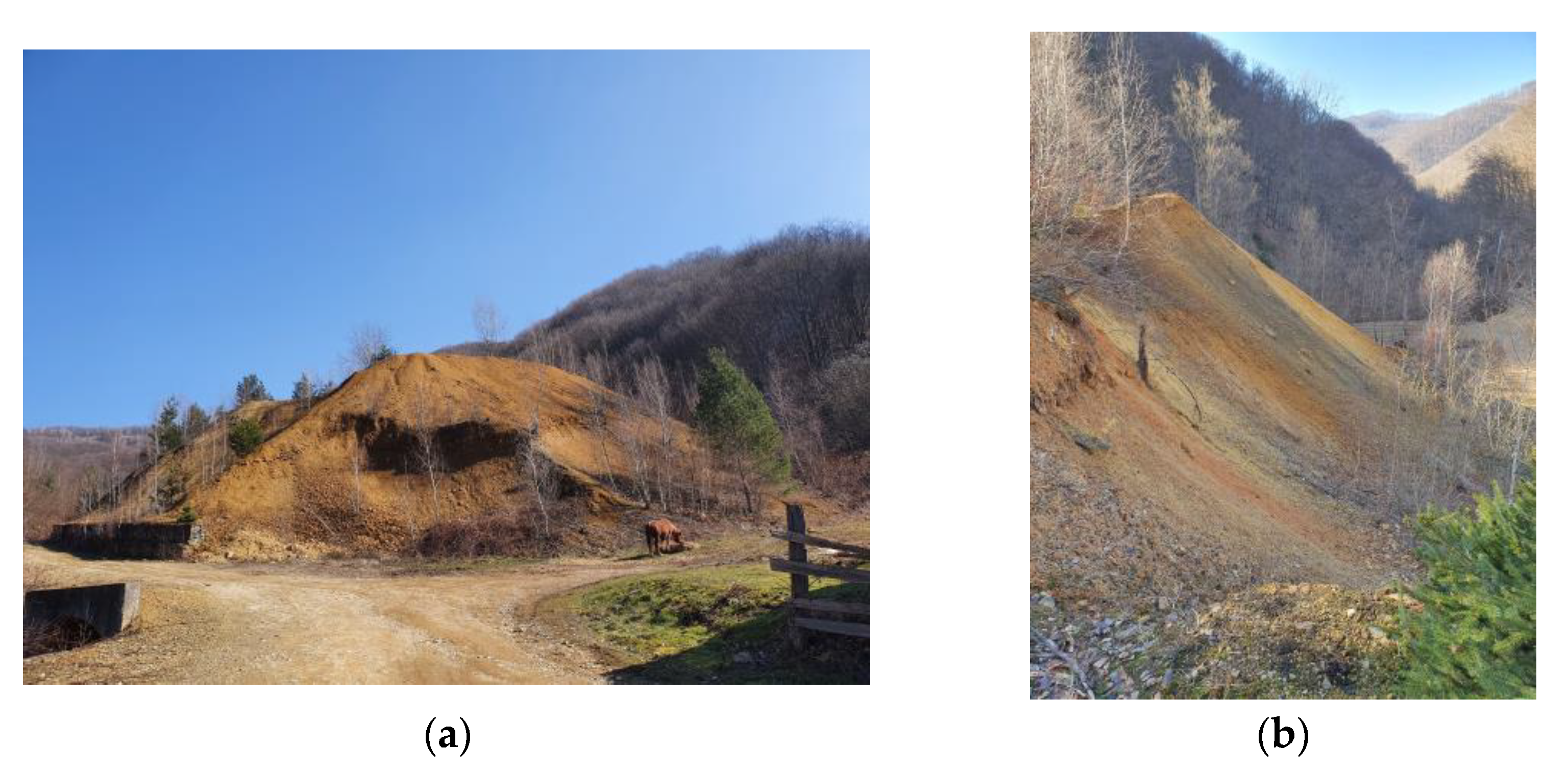 Land 12 00445 g006 550