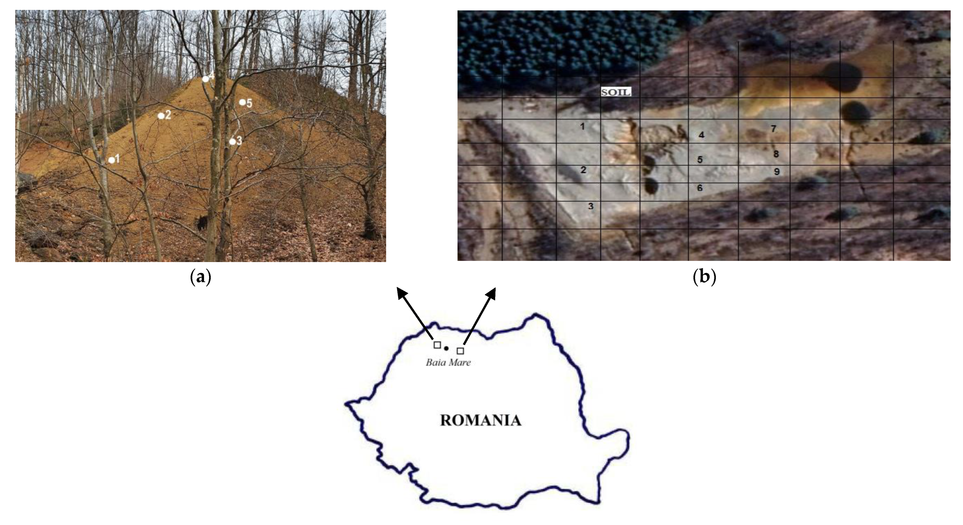 Land 12 00445 g007 550