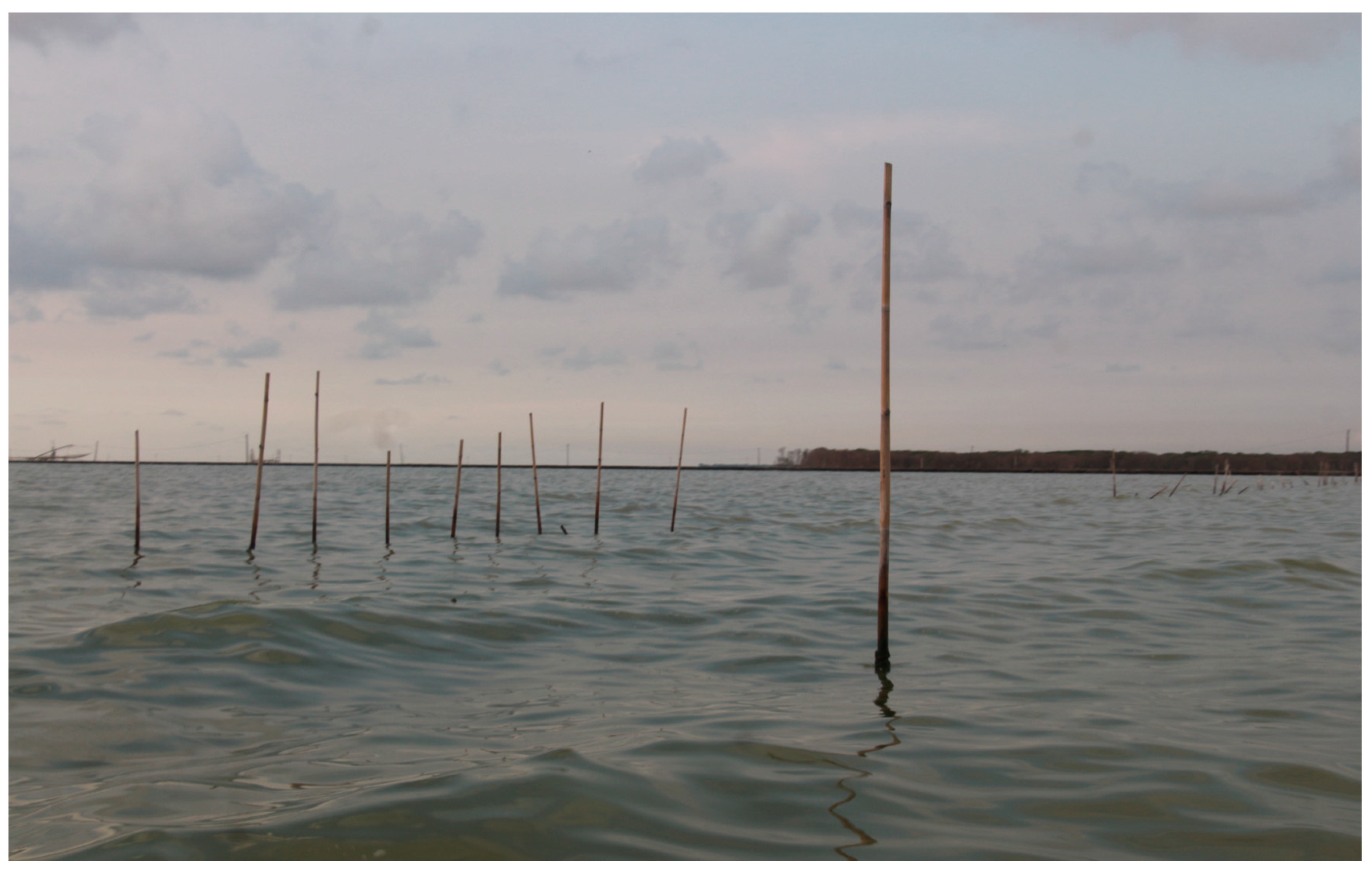 Land 12 00478 g004 Land 12 00478 g004