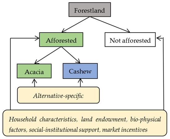 COLONISTA X URBAN FOREST CHECK TARP