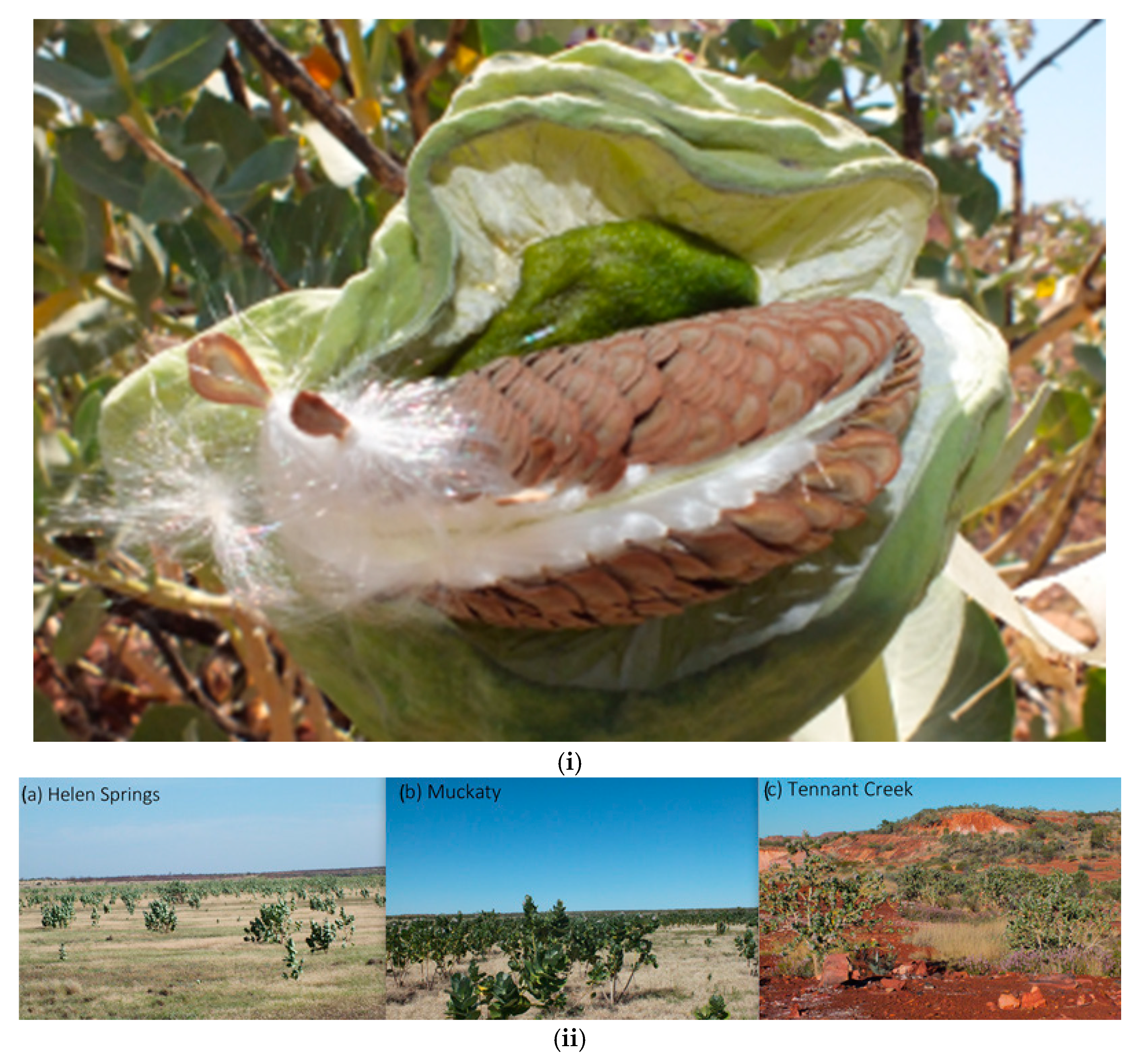 Land 12 00549 g001 Land 12 00549 g001