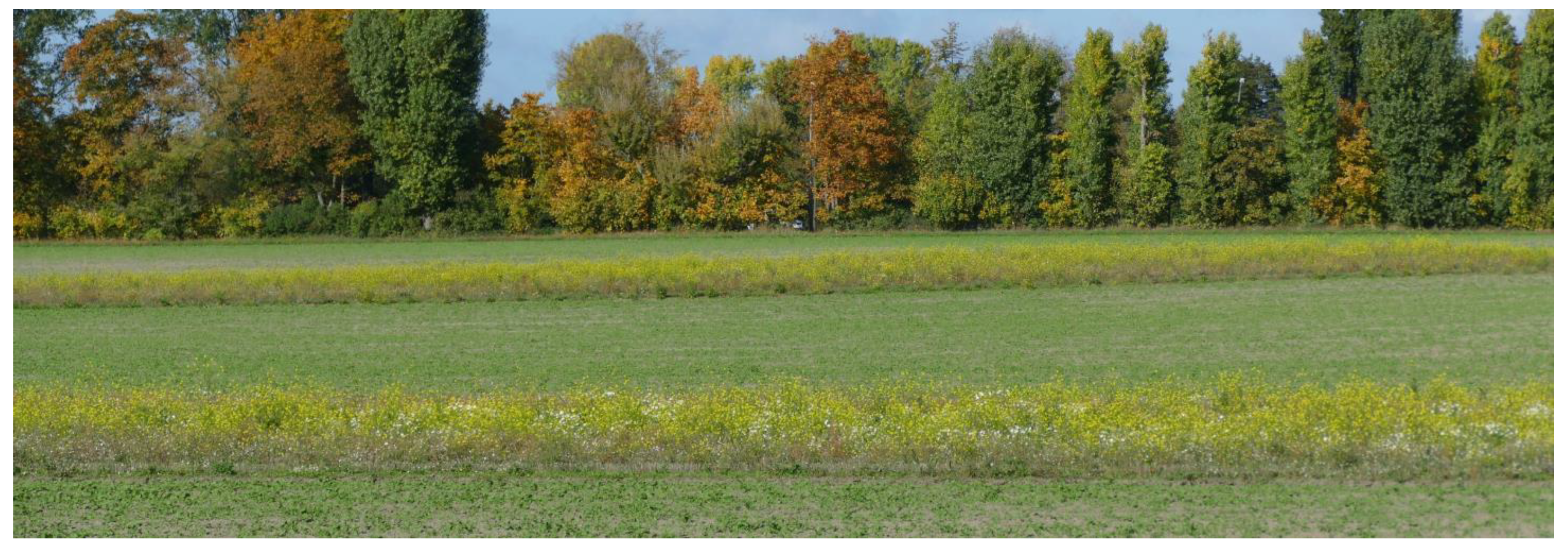 Land 12 00567 g003 550