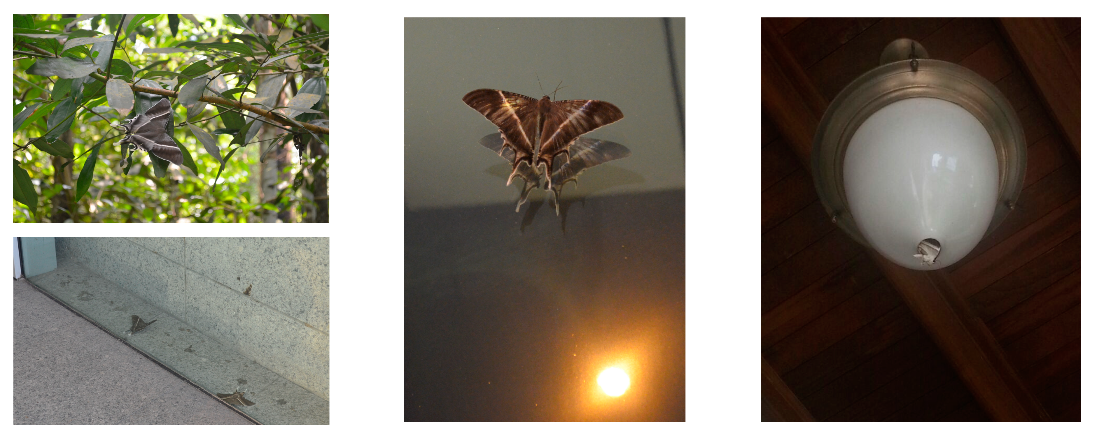 Land 12 00589 g002 Land 12 00589 g002