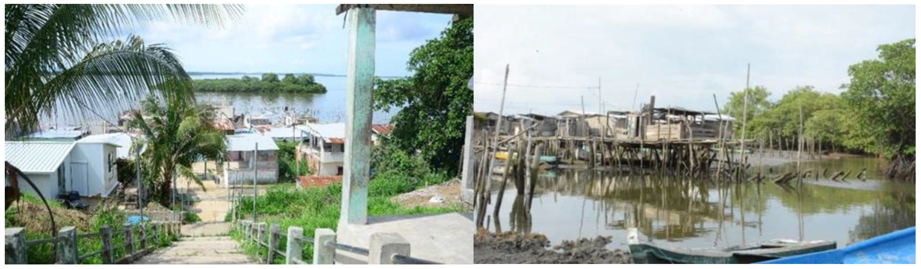 Land 12 00604 g005 Land 12 00604 g005