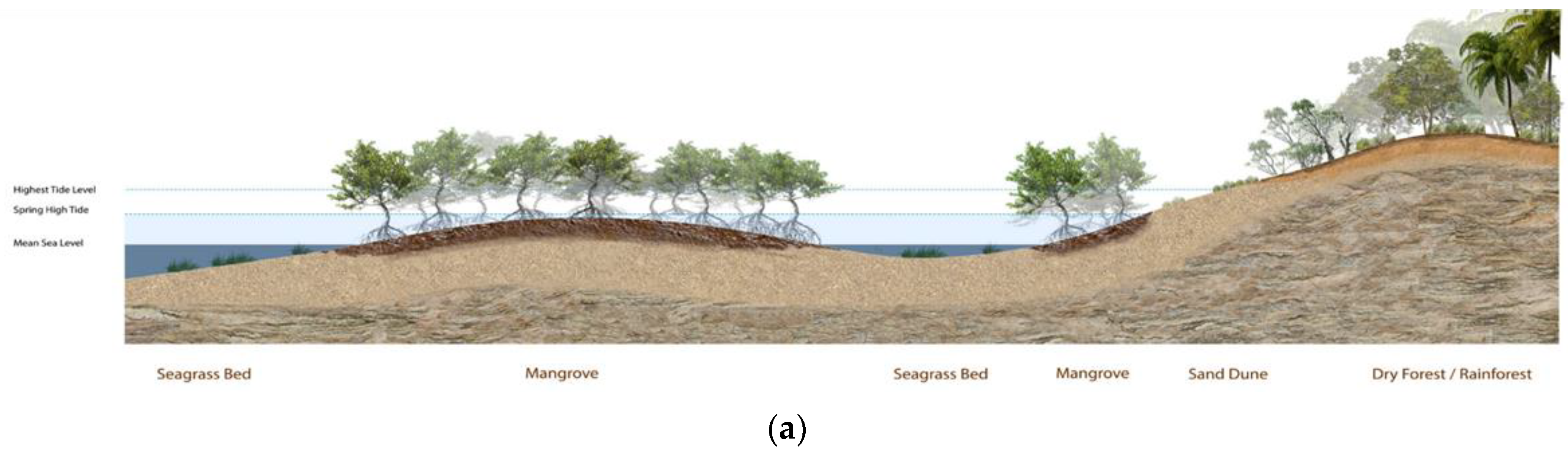 Land 12 00604 g0a2a Land 12 00604 g0a2a