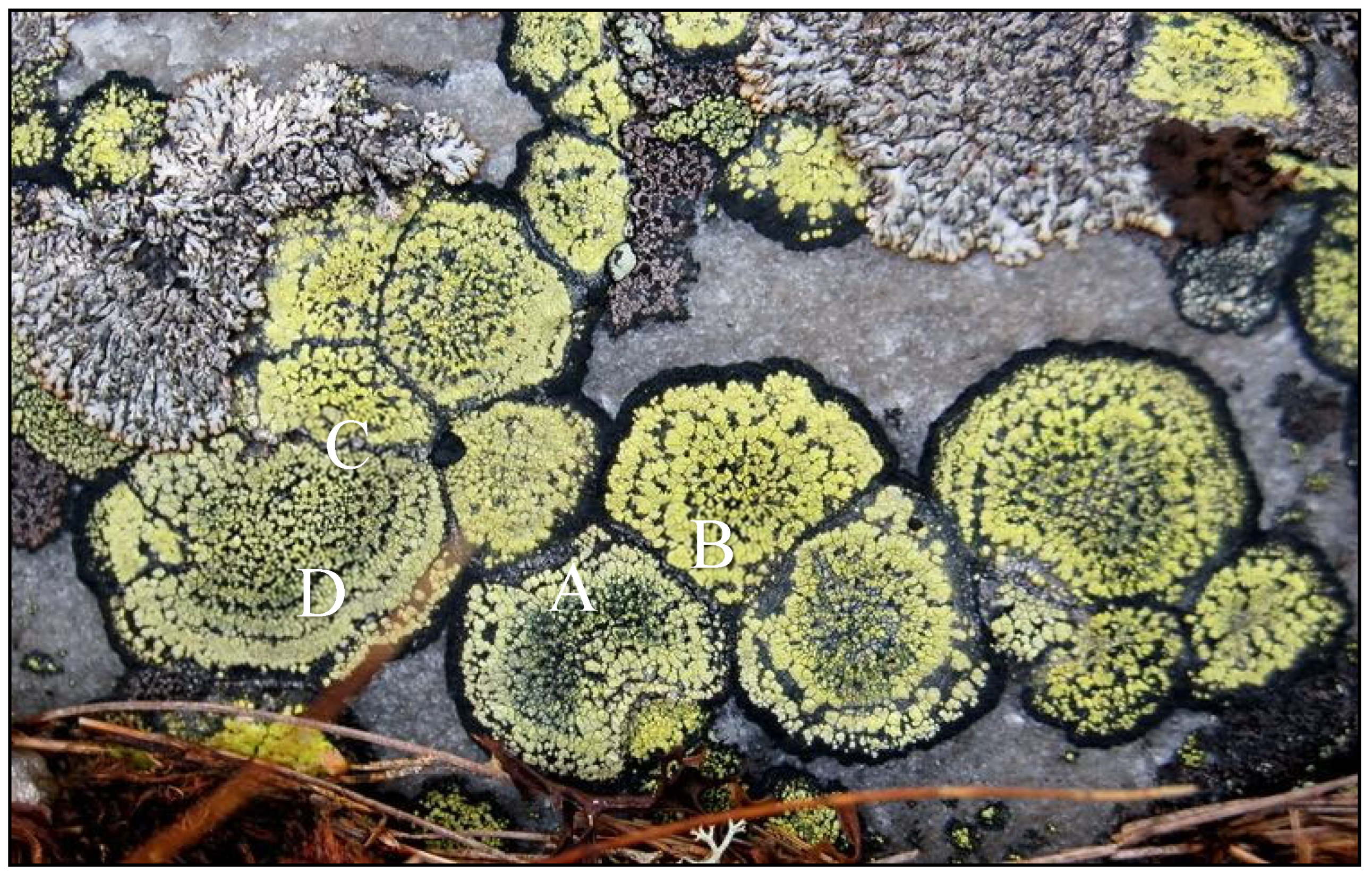 Land 12 00611 g001 Land 12 00611 g001