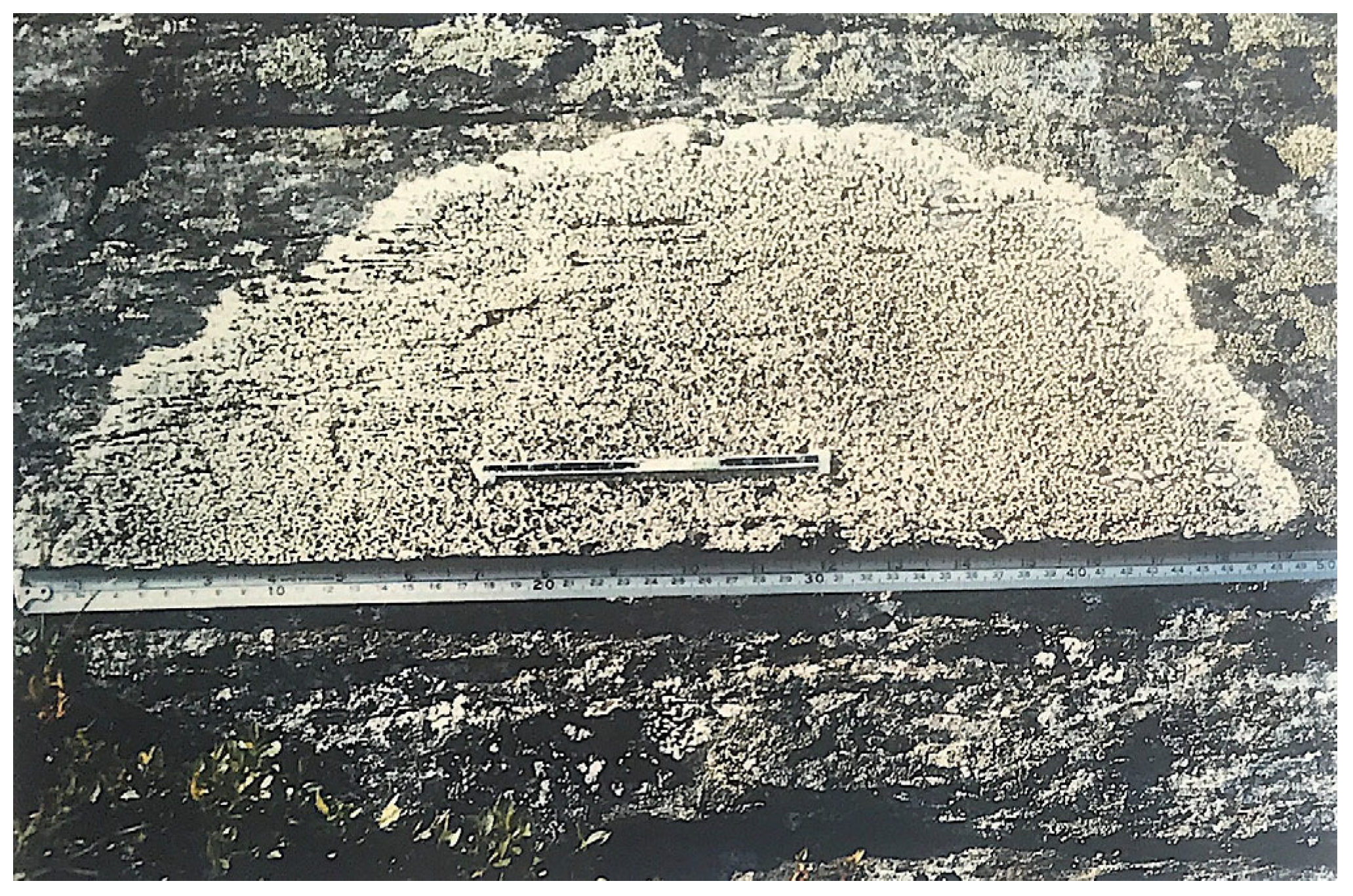 Land 12 00611 g005 Land 12 00611 g005