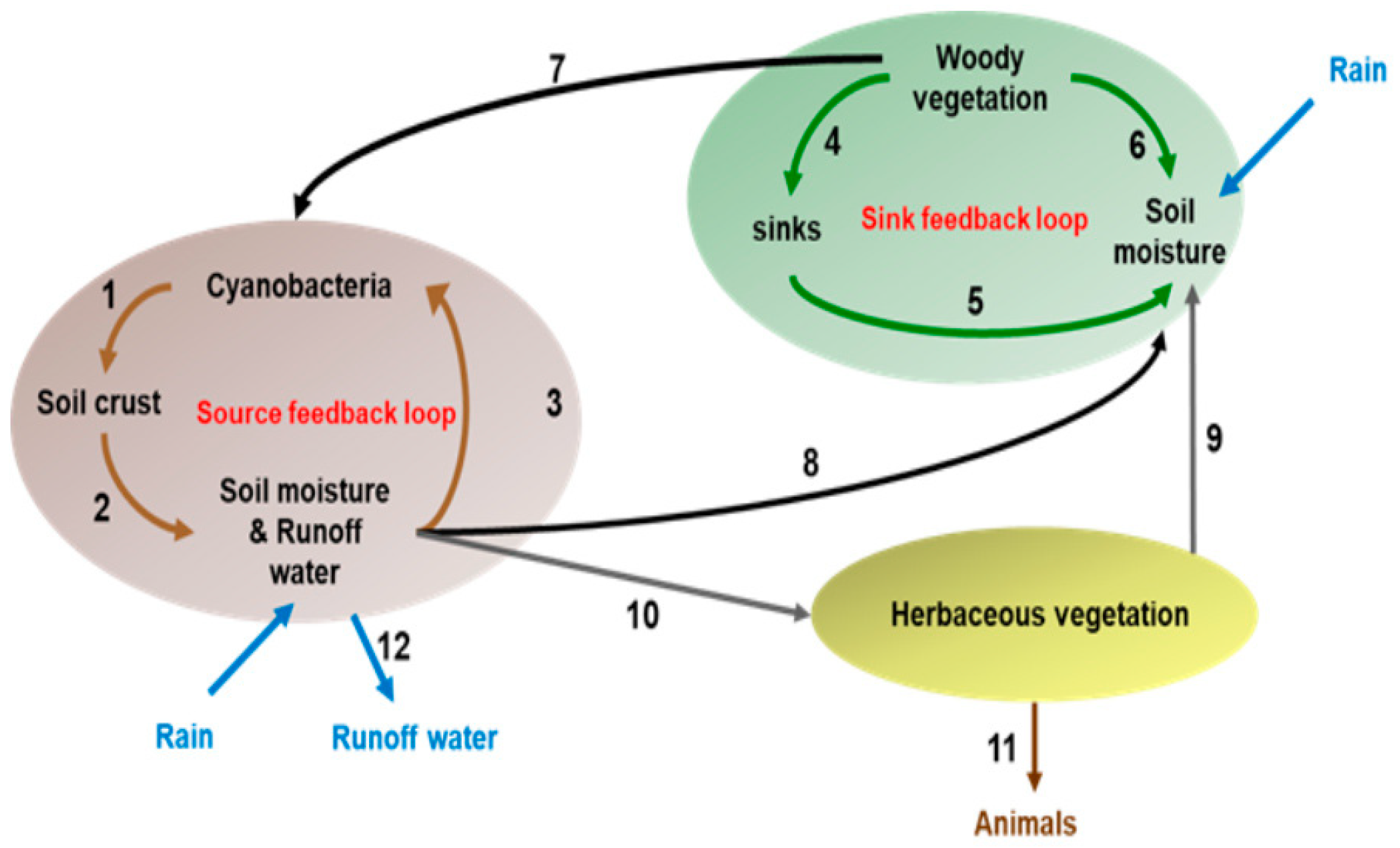 Land 12 00643 g002 Land 12 00643 g002