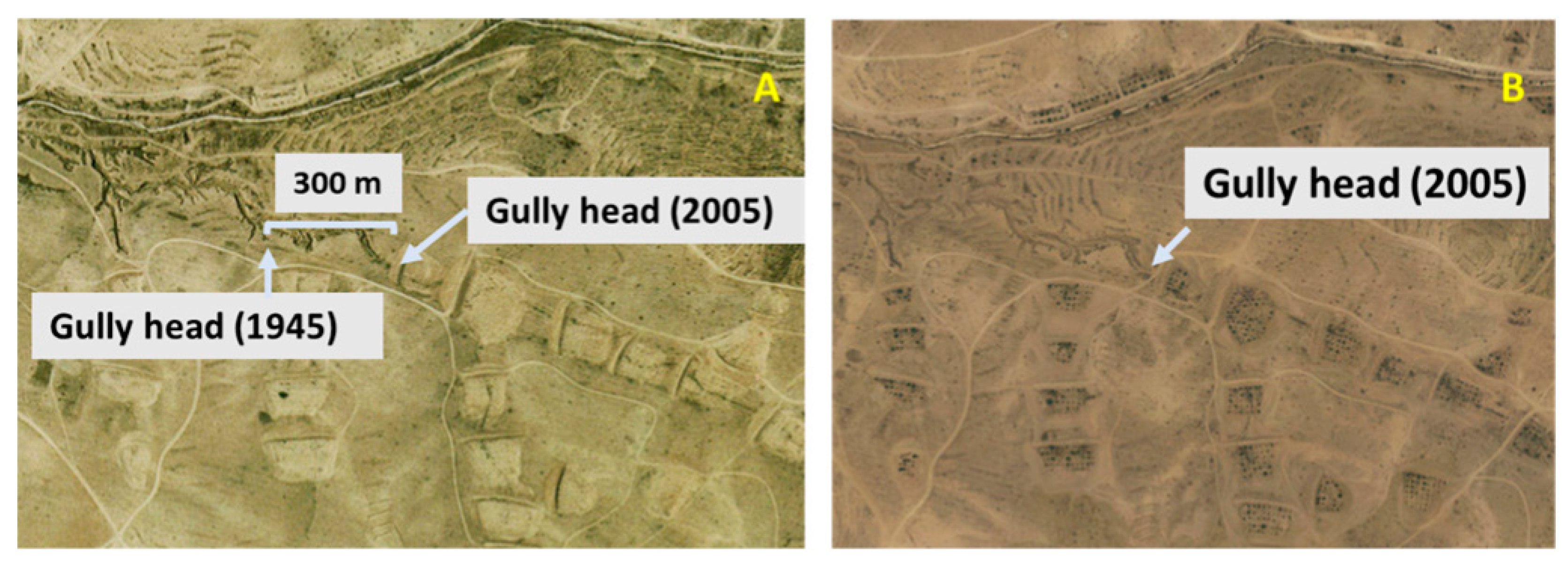 Land 12 00643 g003 Land 12 00643 g003