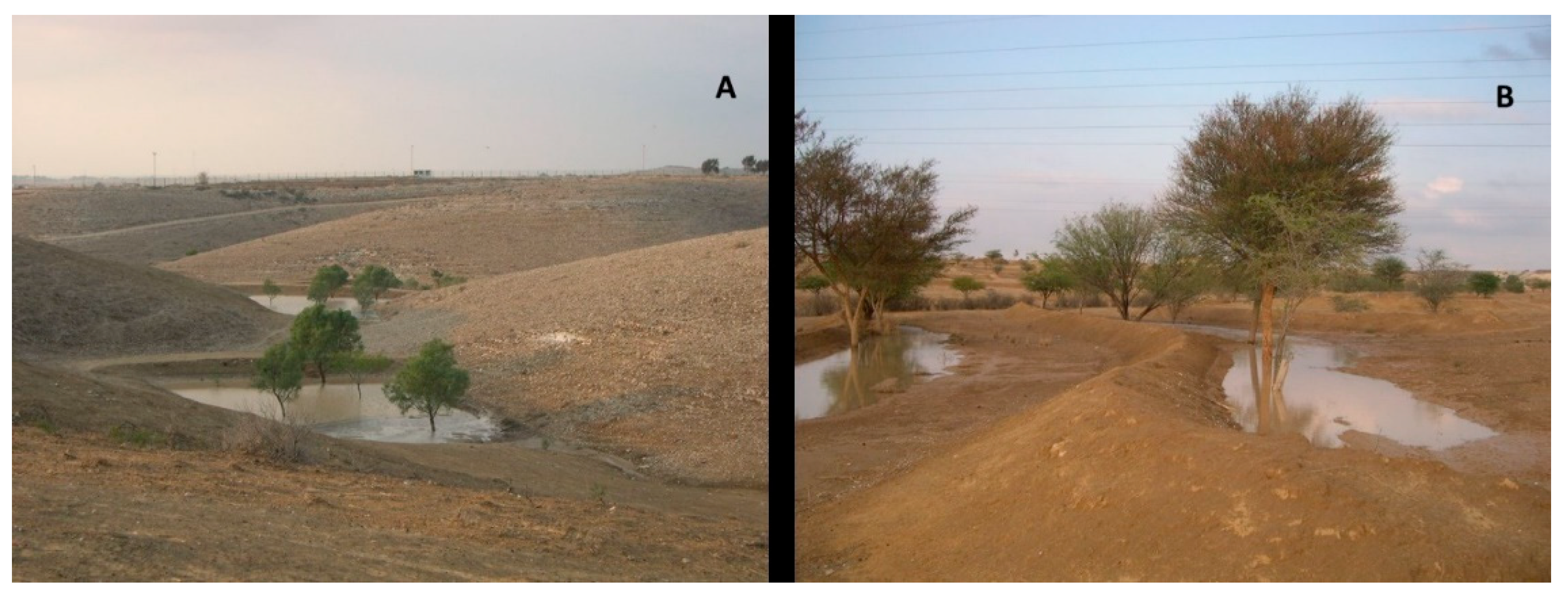 Land 12 00643 g004 Land 12 00643 g004