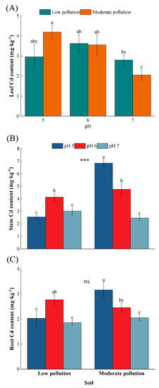 Effects of Soil pH on the Growth and Cadmium Accumulation in