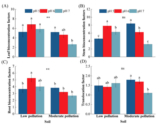 Effects of Soil pH on the Growth and Cadmium Accumulation in