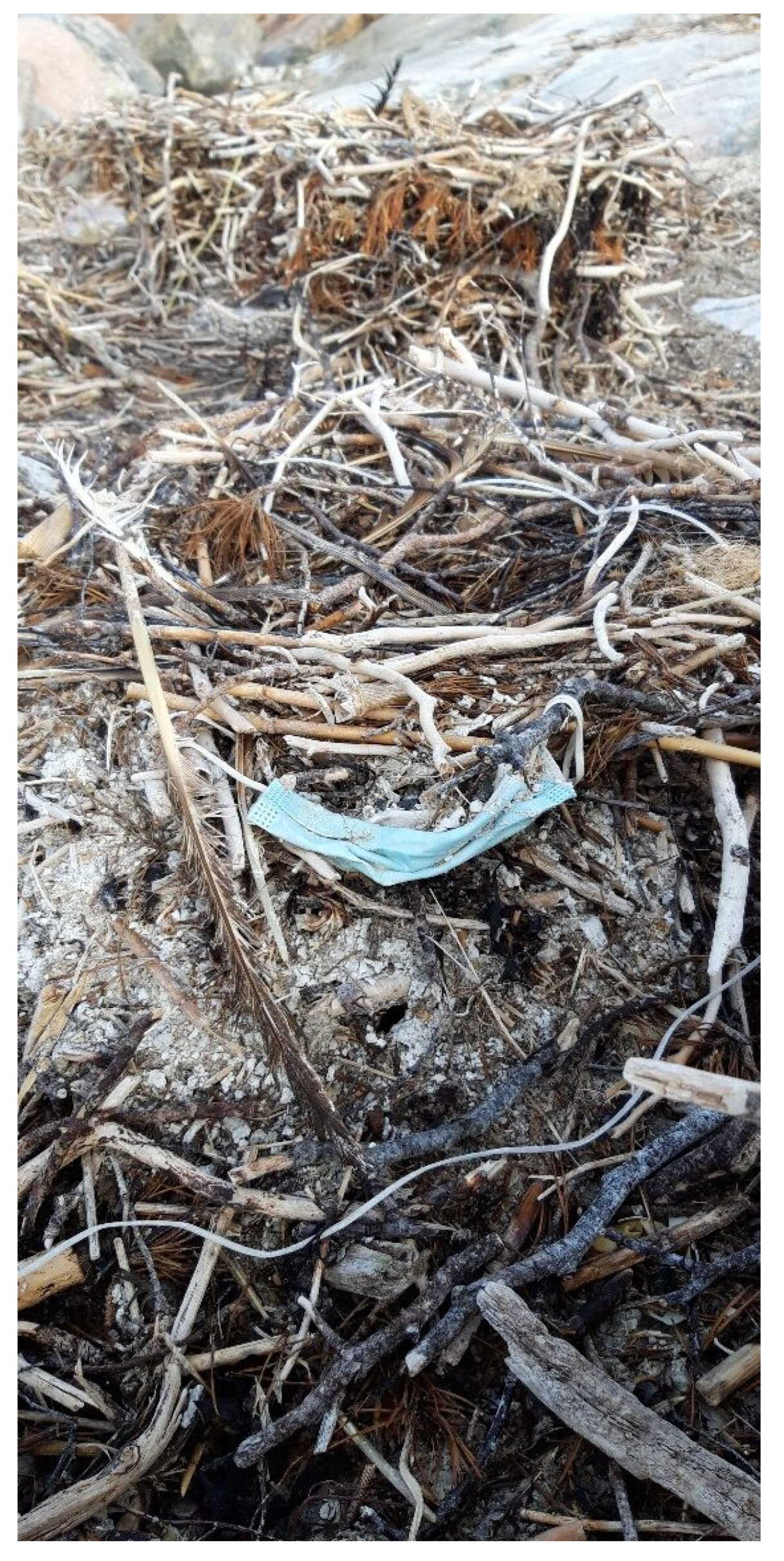 Land 12 00670 g006 Land 12 00670 g006