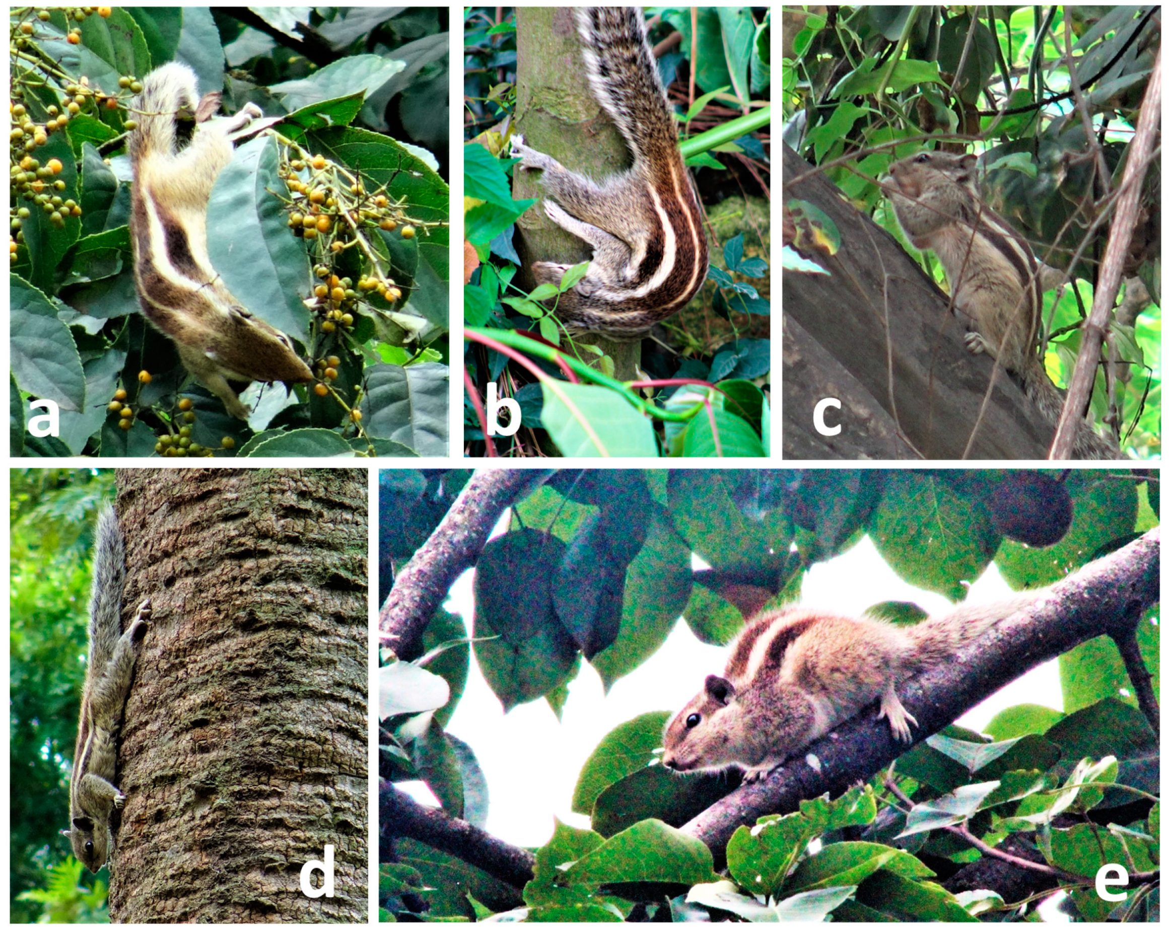 Land 12 00690 g002 Land 12 00690 g002