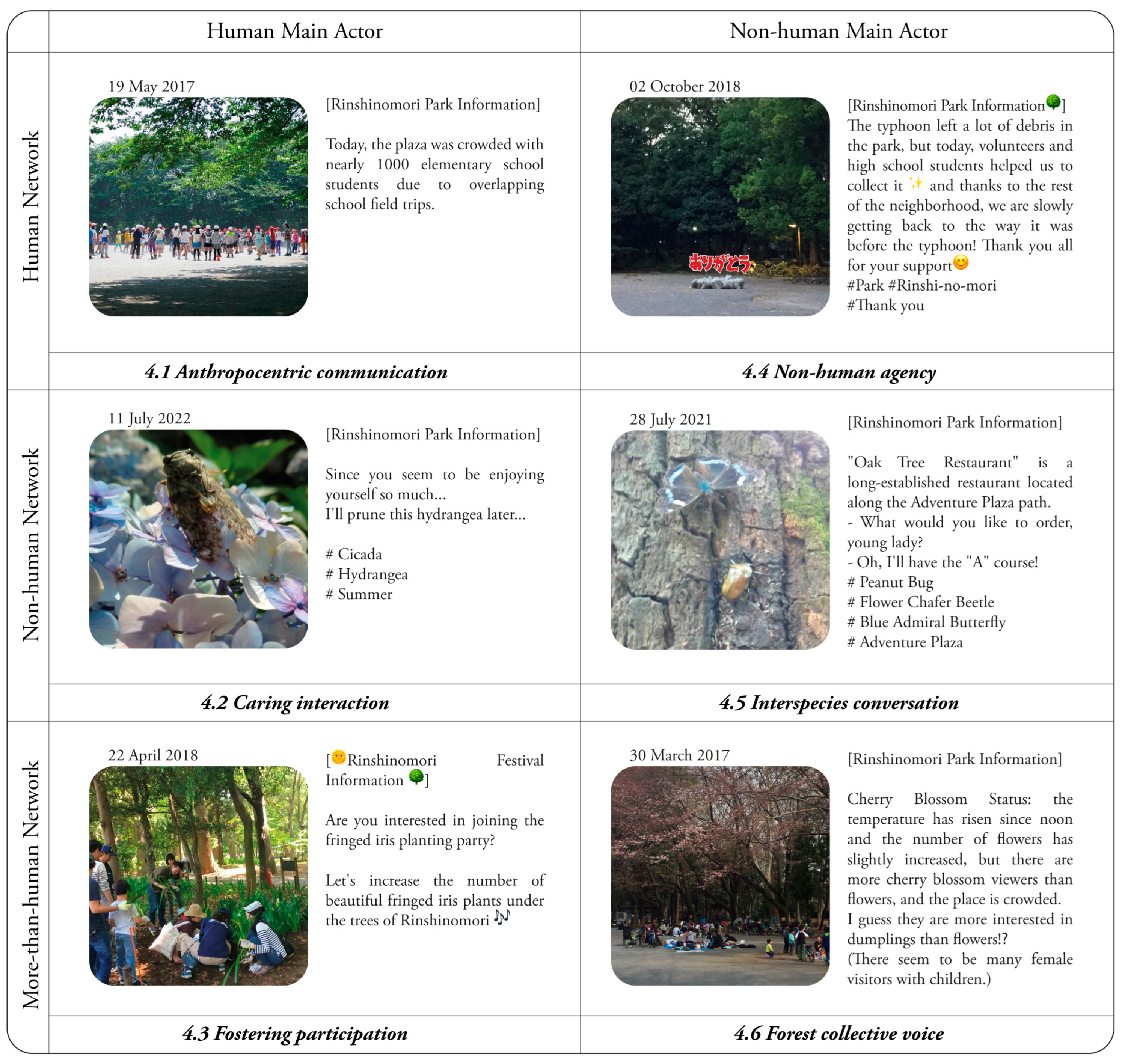 URBANOO 韓國URBAN FOREST 防焰碟型天幕5.3X 5m 棕黑灰白