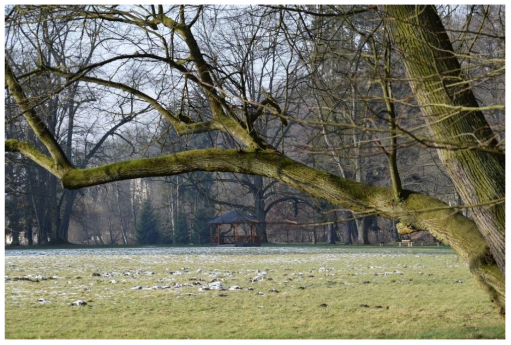 Land 12 00751 g001 Land 12 00751 g001