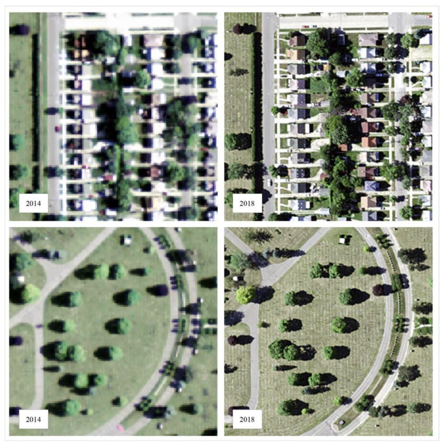 Land 12 00763 g005 Land 12 00763 g005