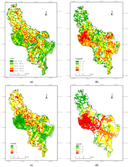 Space Accessibility and Equity of Urban Green Space
